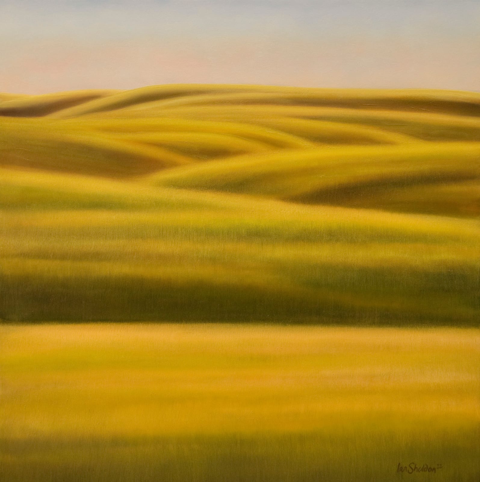 Ian Sheldon, Prairie Meditation Lines