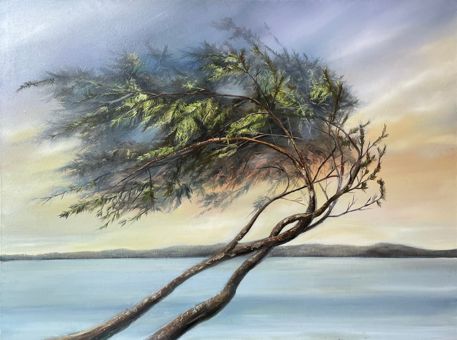 Richard Cole, Wind Tree