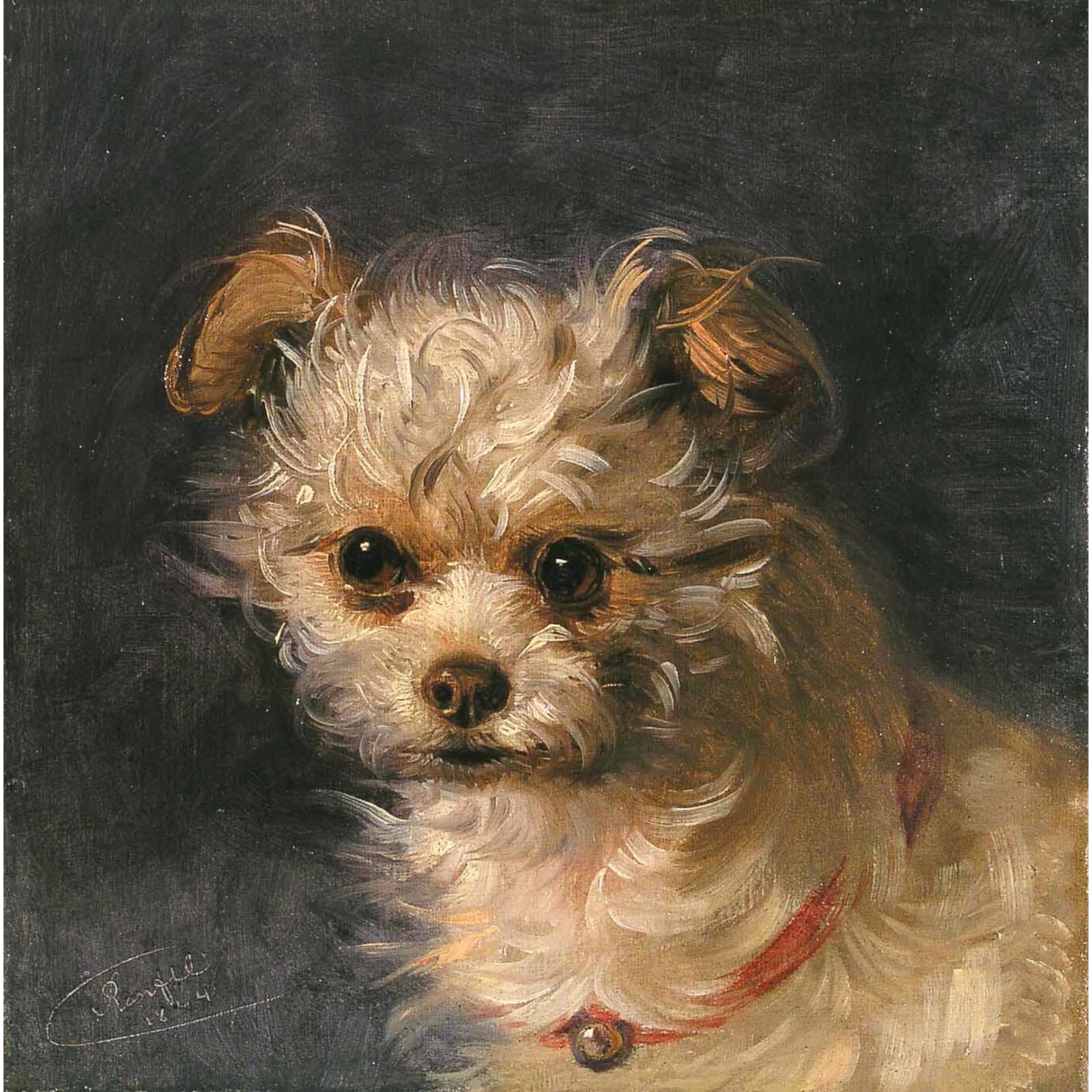 Johann Matthias Ranftl, Malteserhündchen, 1844