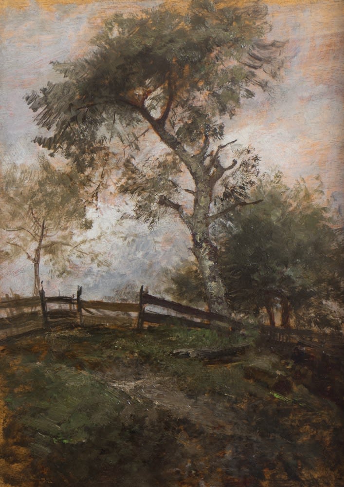 Emil Jakob Schindler, Baumstudie