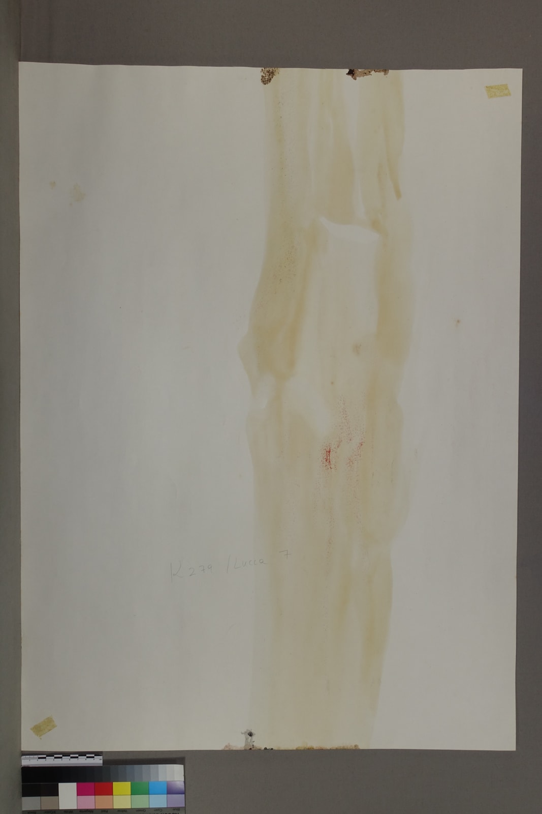 Gottfried Mairwöger, o. T. (Hollunderstaude), 1976