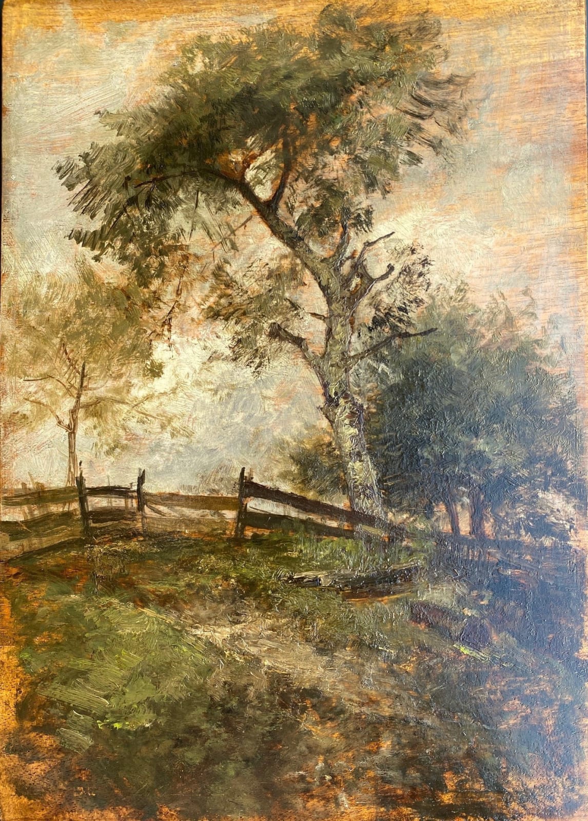 Emil Jakob Schindler, Baumstudie