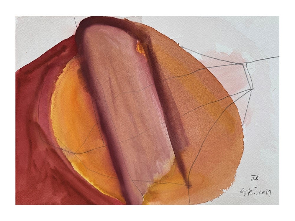 Alois Riedl, O.T., 2025