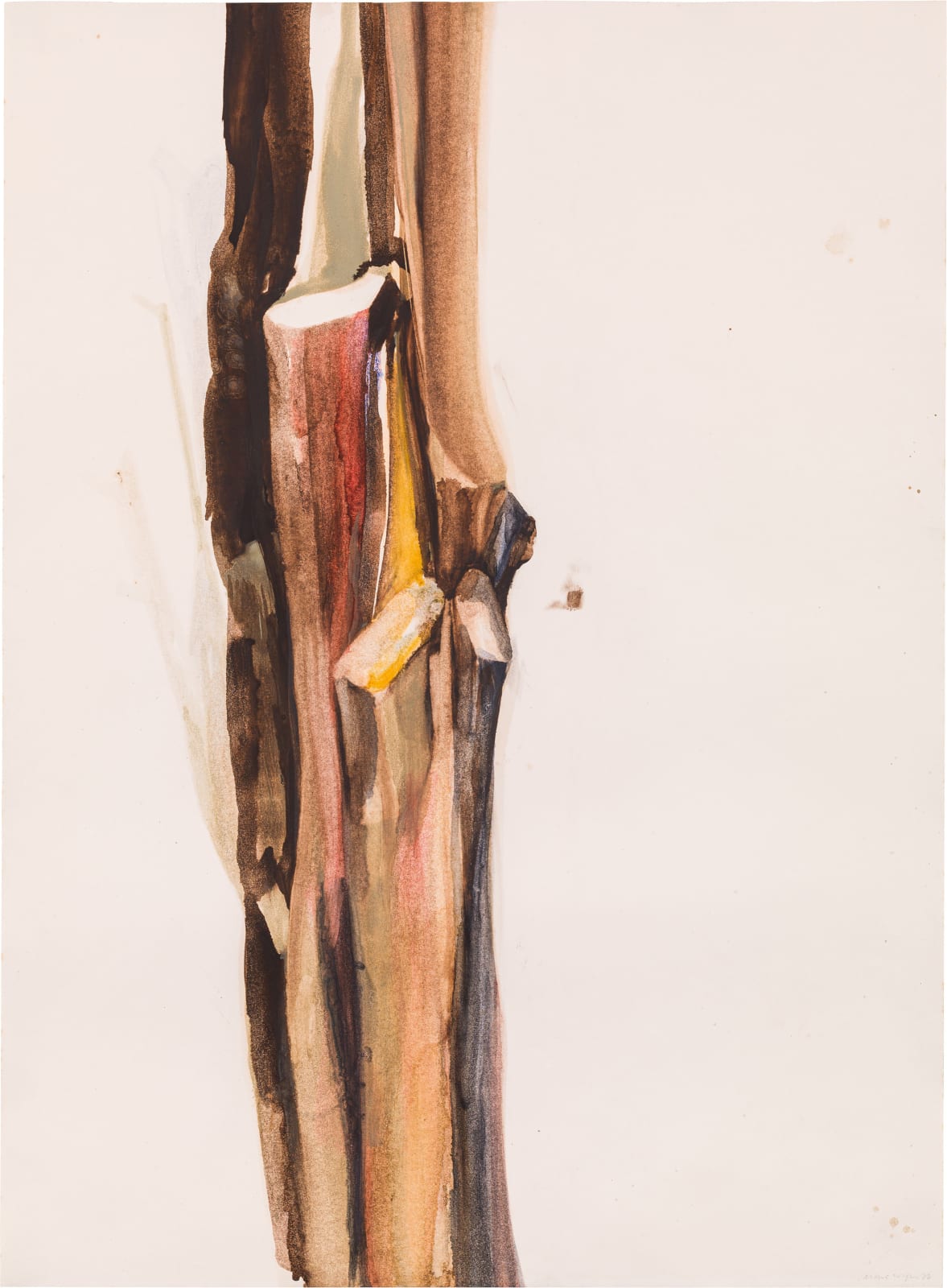 Gottfried Mairwöger, o. T. (Hollunderstaude), 1976