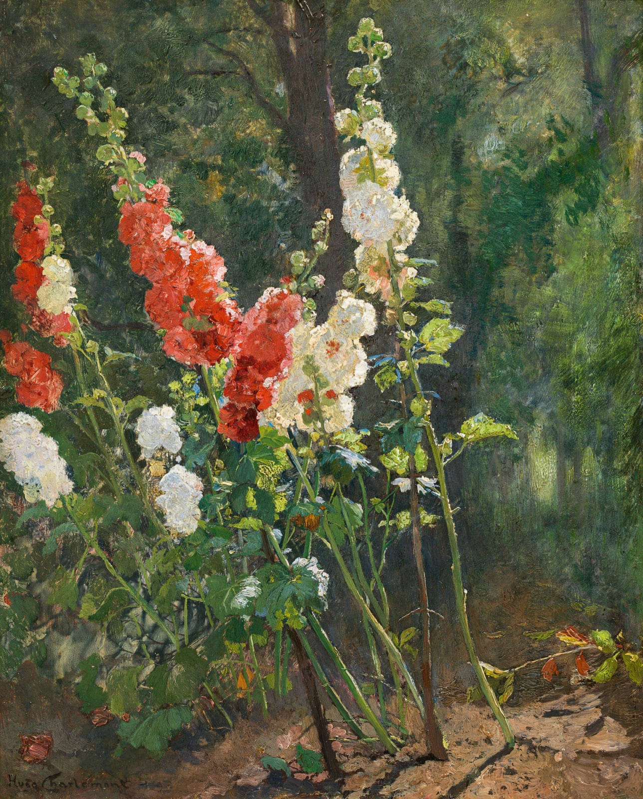 Hugo Charlemont, Malven, 1895