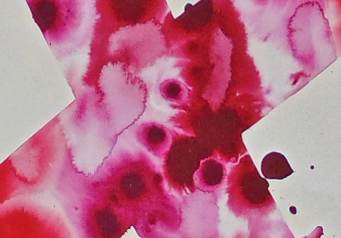 SAM FRANCIS, Untitled SF78-94, 1978
