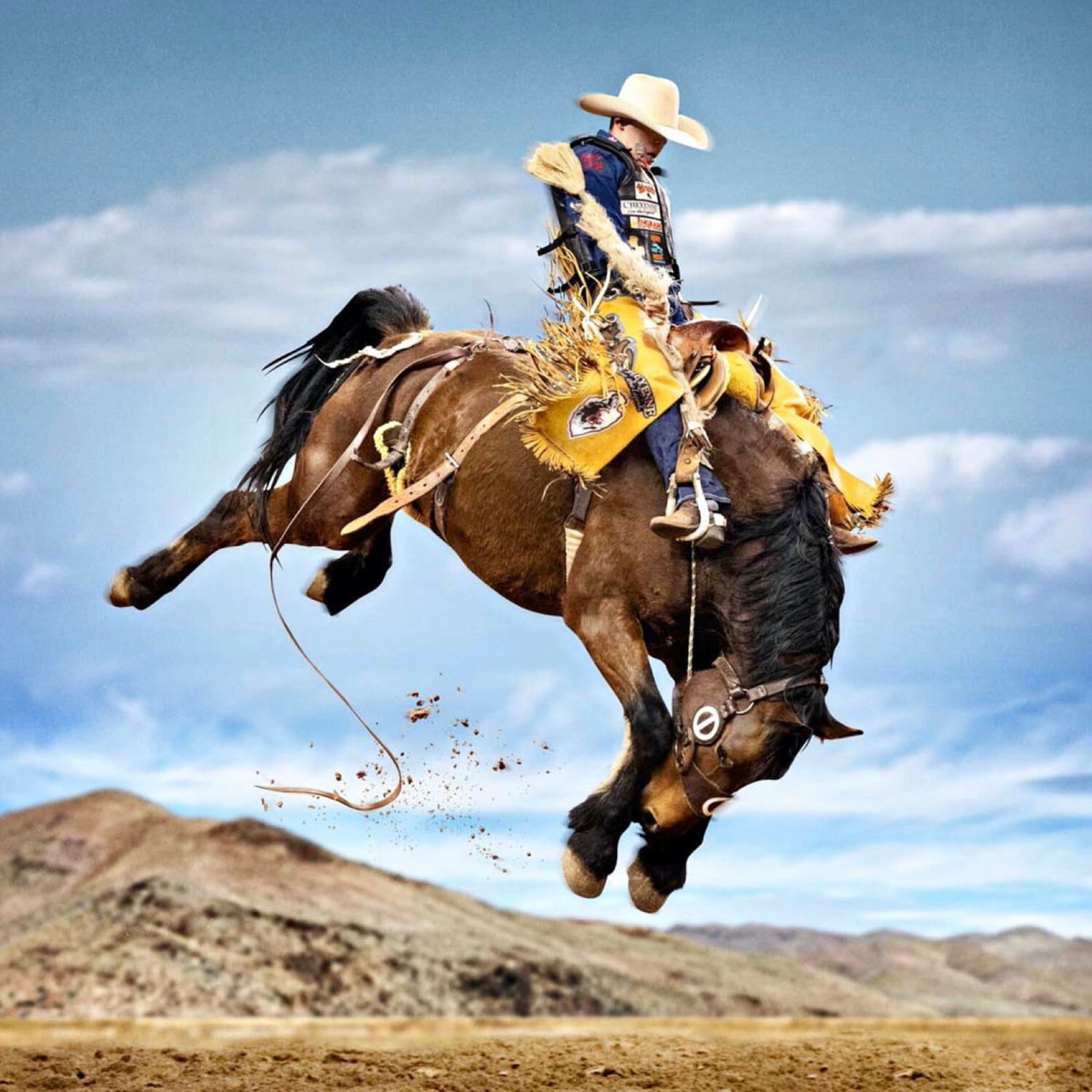 Brody color photograph