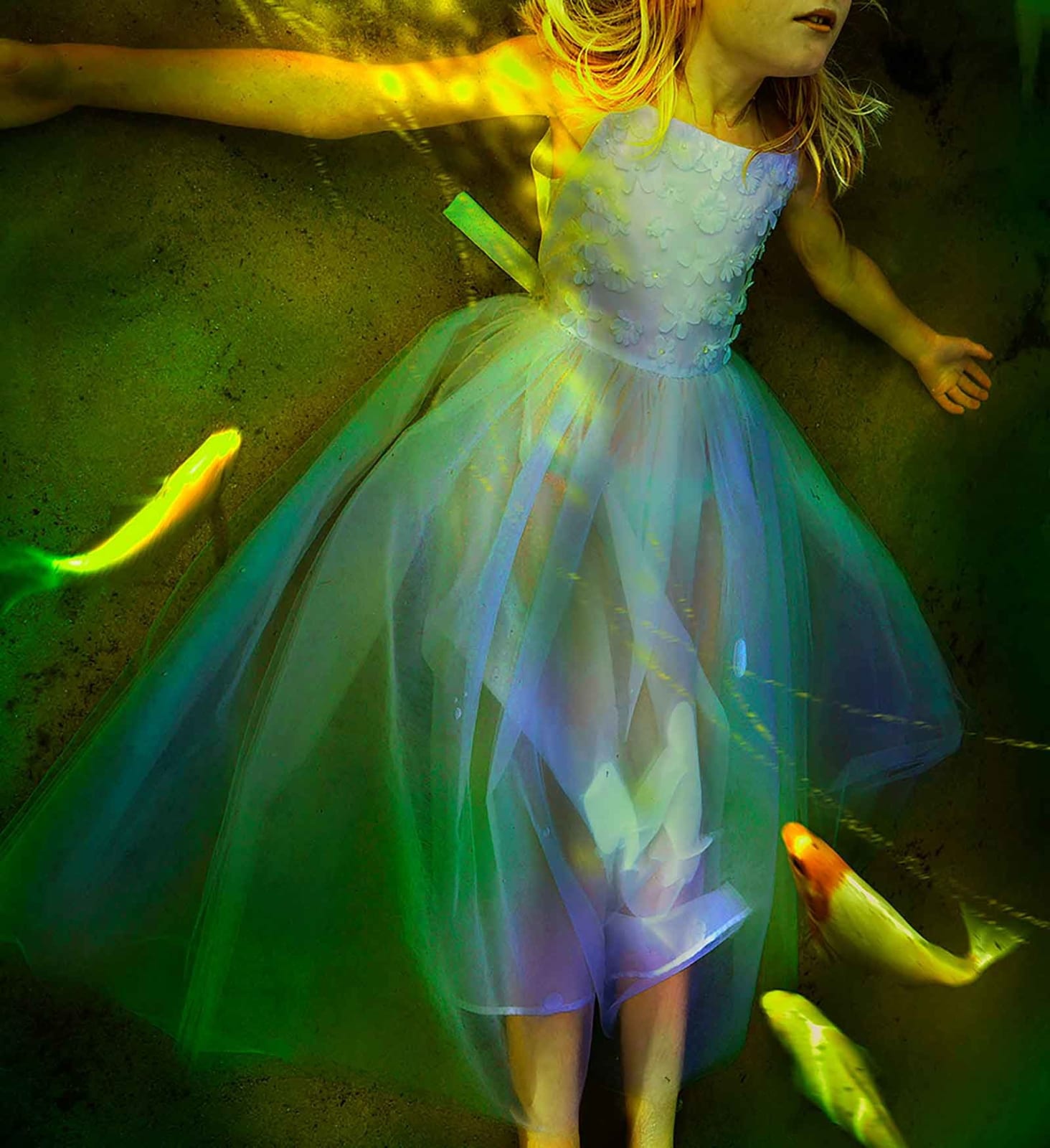 Coy Koi photograph Tom Chambers Gilman gallery Sun Valley Contemporary art