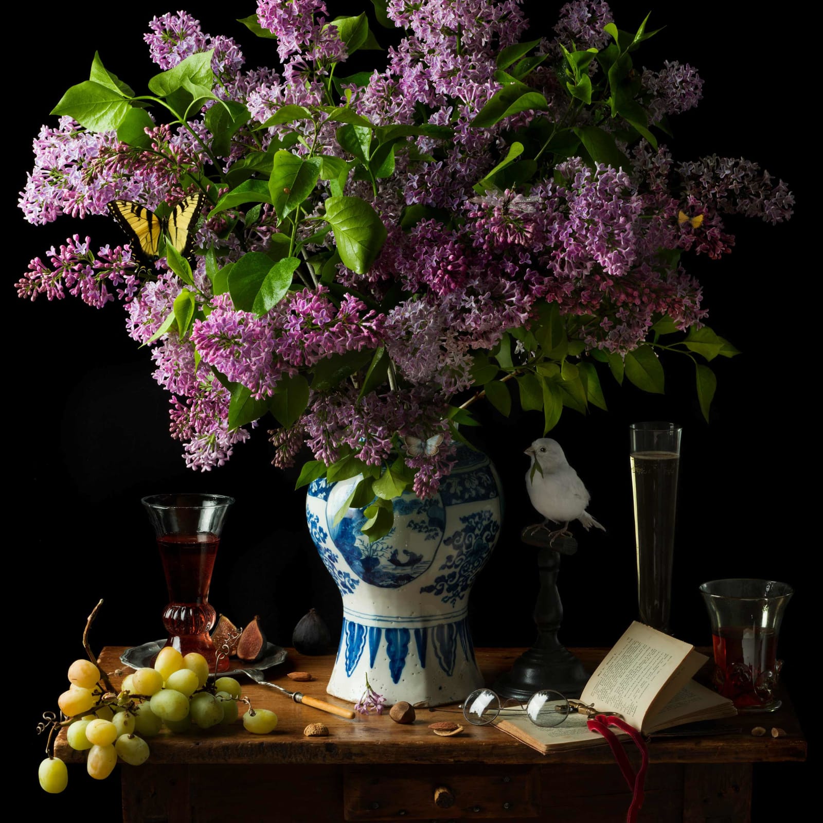 Paulette Tavormina photograph lilies grapes open book white canary purchase at gilman contemporary