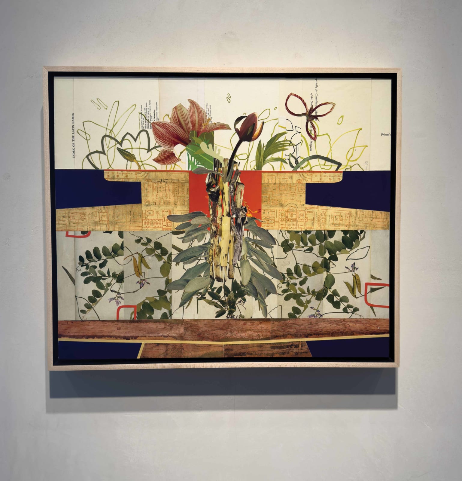 Frances McCormack Di Calypso installation view