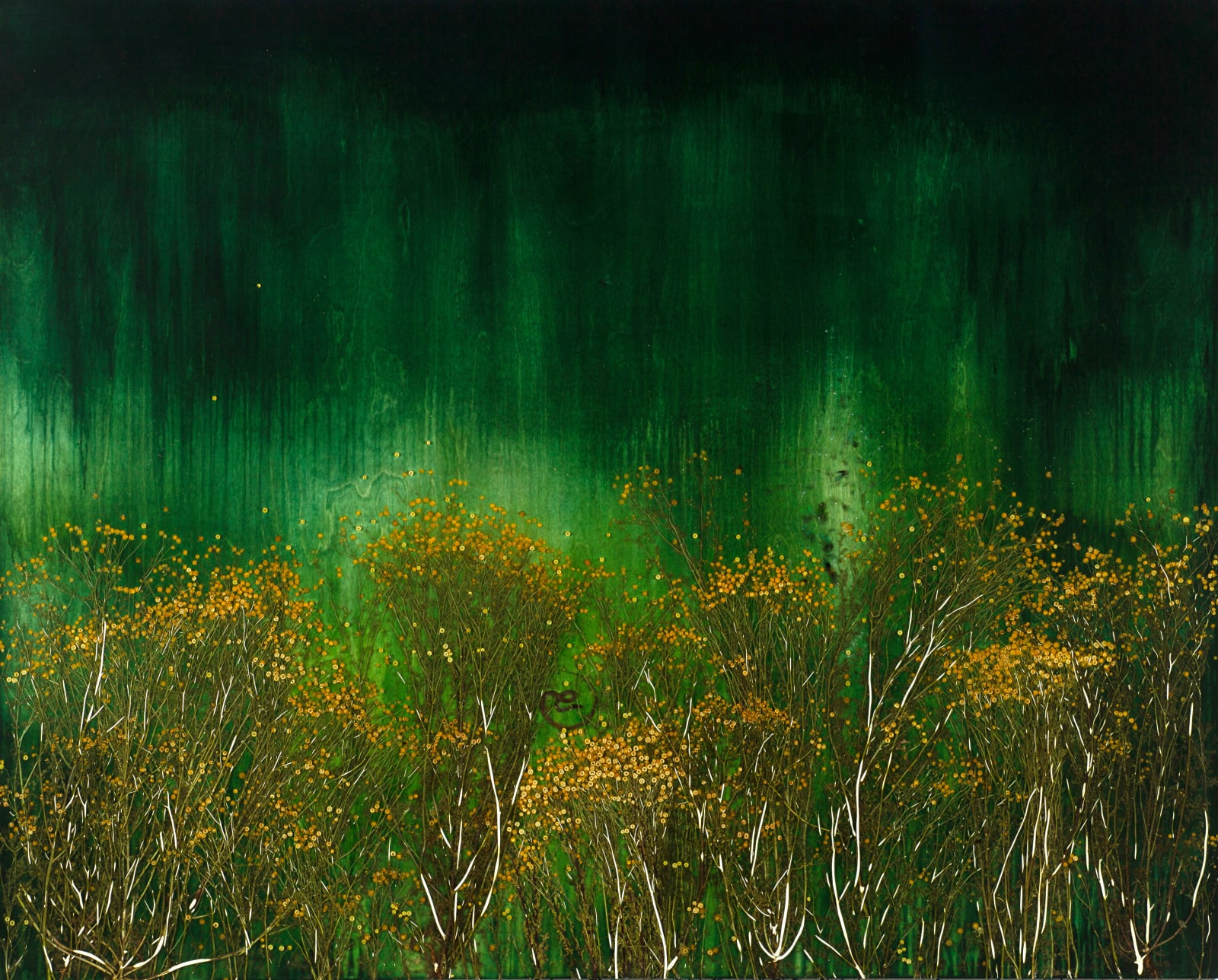 Dark Garden by Mayme Kratz