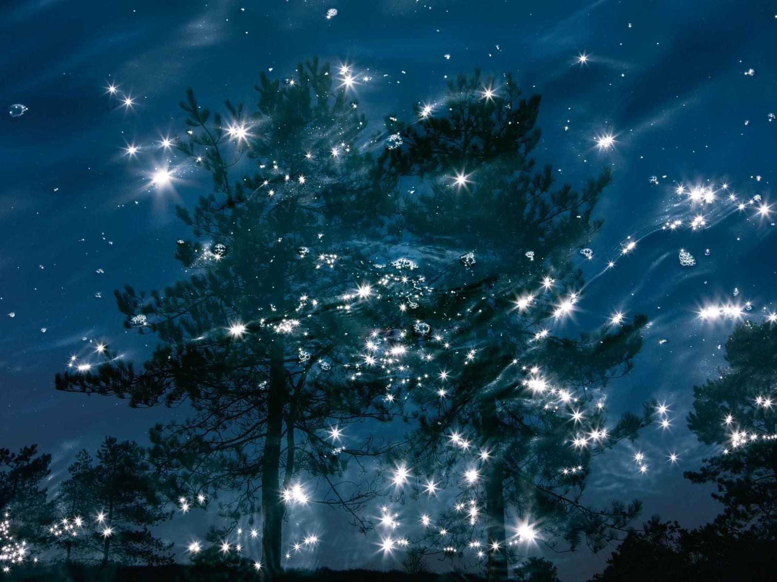 buy Ellie Davies photography Seascapes: Triptych Sun Valley Idaho art gallery Gilman Contemporary