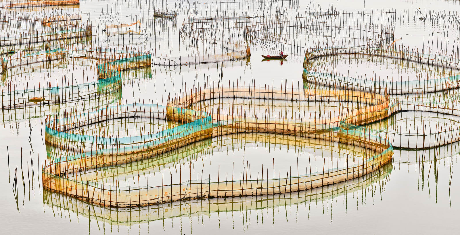 David Burdeny, Nets Study 5, China