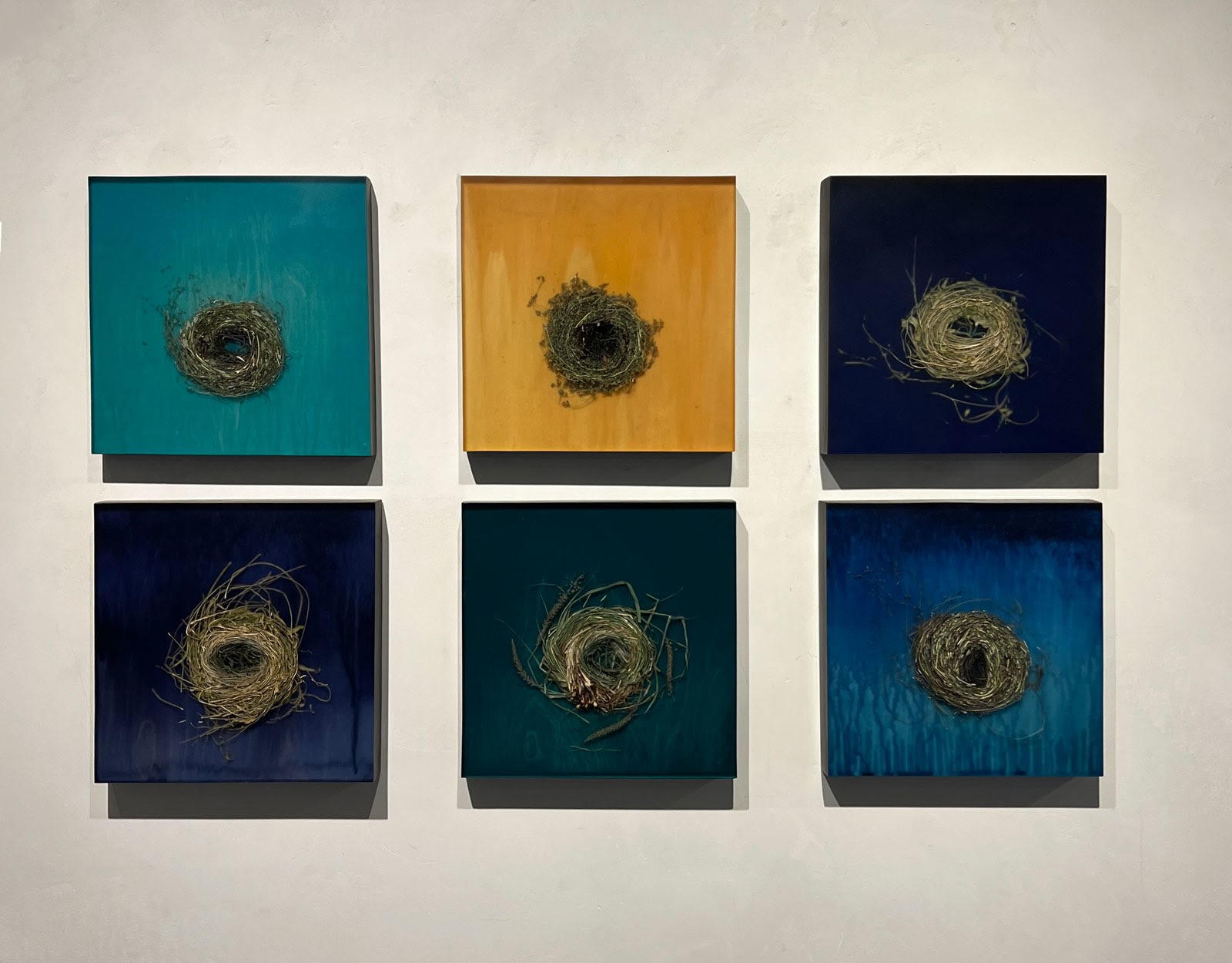 Mayme Kratz resin incased grasses spurge on panel nest in knot series at gilman contemporary sun valley