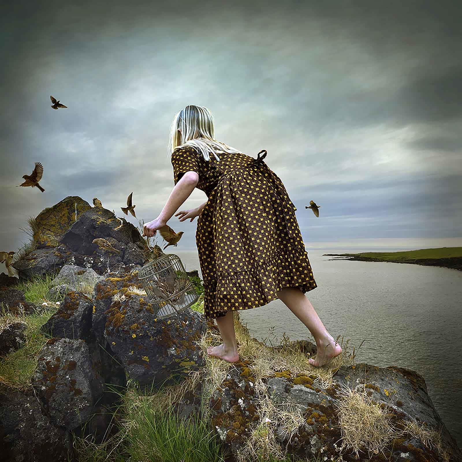 Iceland photography Tom Chambers girl on rocks with birds buy here Gilman Contemporary Sun valley art gallery