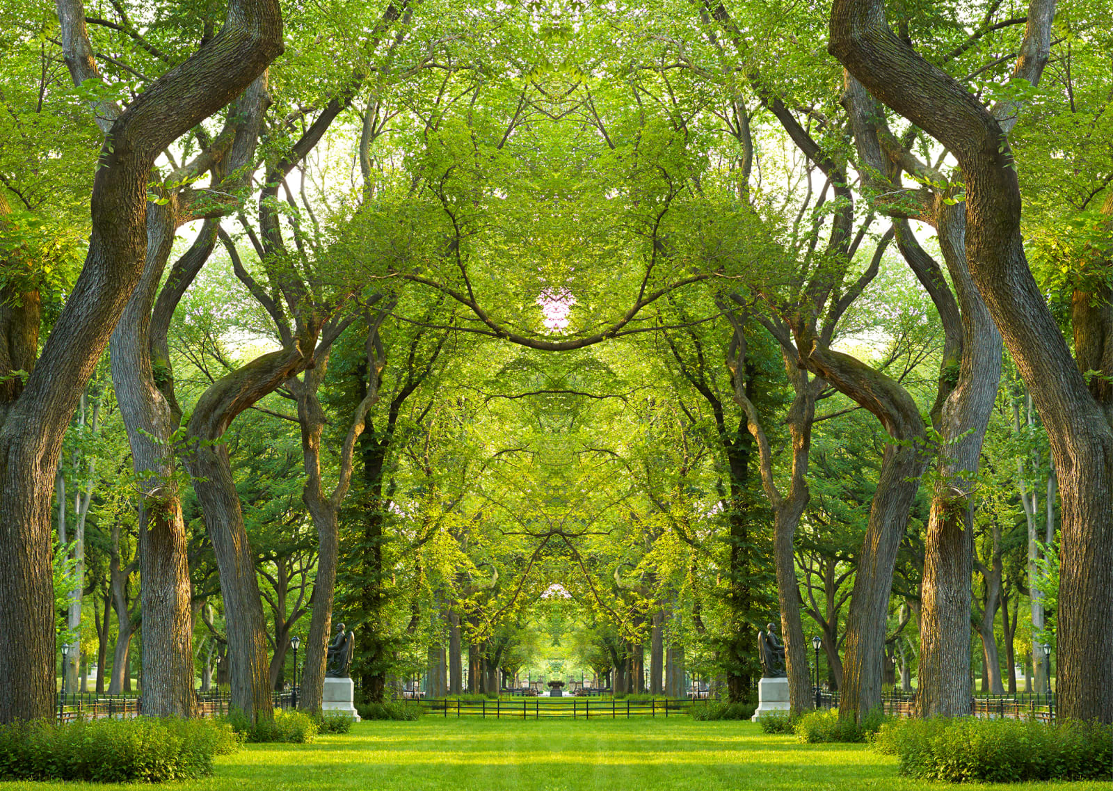 central park photo by Laurie Victor Kay