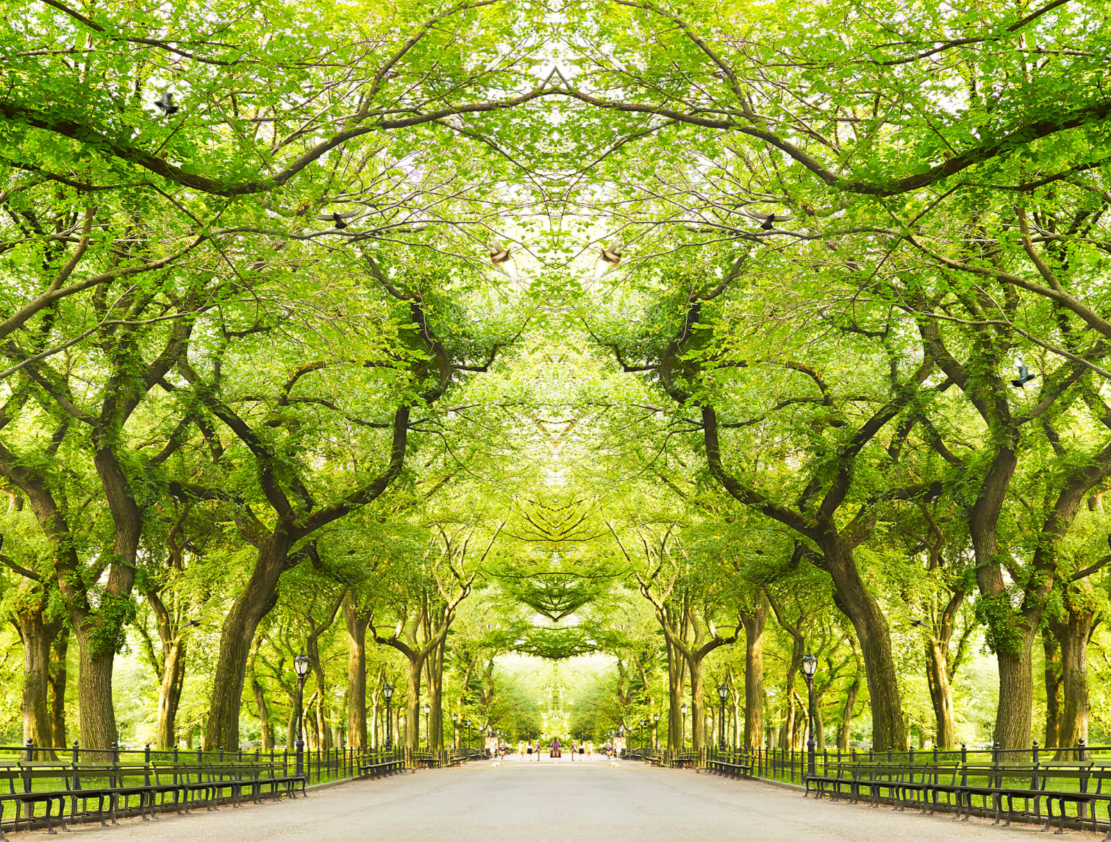 Laurie Victor Kay Central Park photo