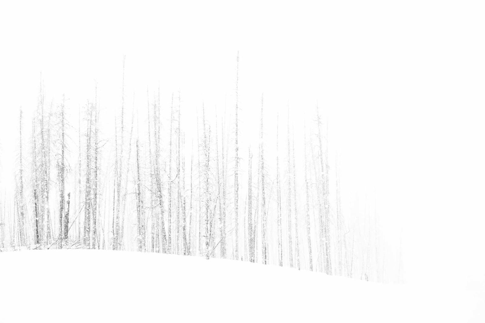 Tuck Fauntleroy Burn series buy original prints here Gilman Contemporary Sun Valley art gallery Idaho