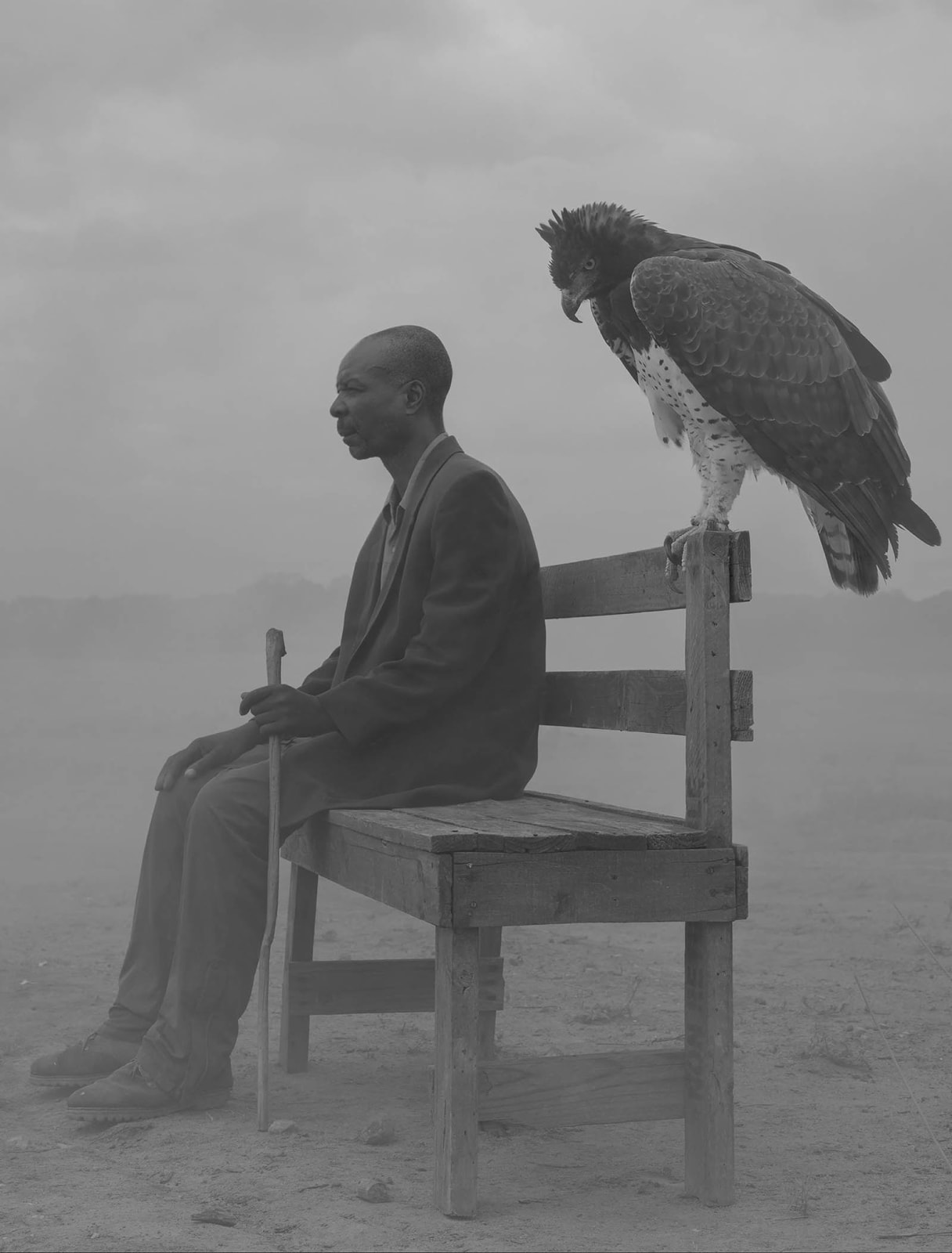 purchase Nick Brandt photographs The Day May Break chapter 2 Zimbabwe Sun Valley art gallery Gilman Contemporary