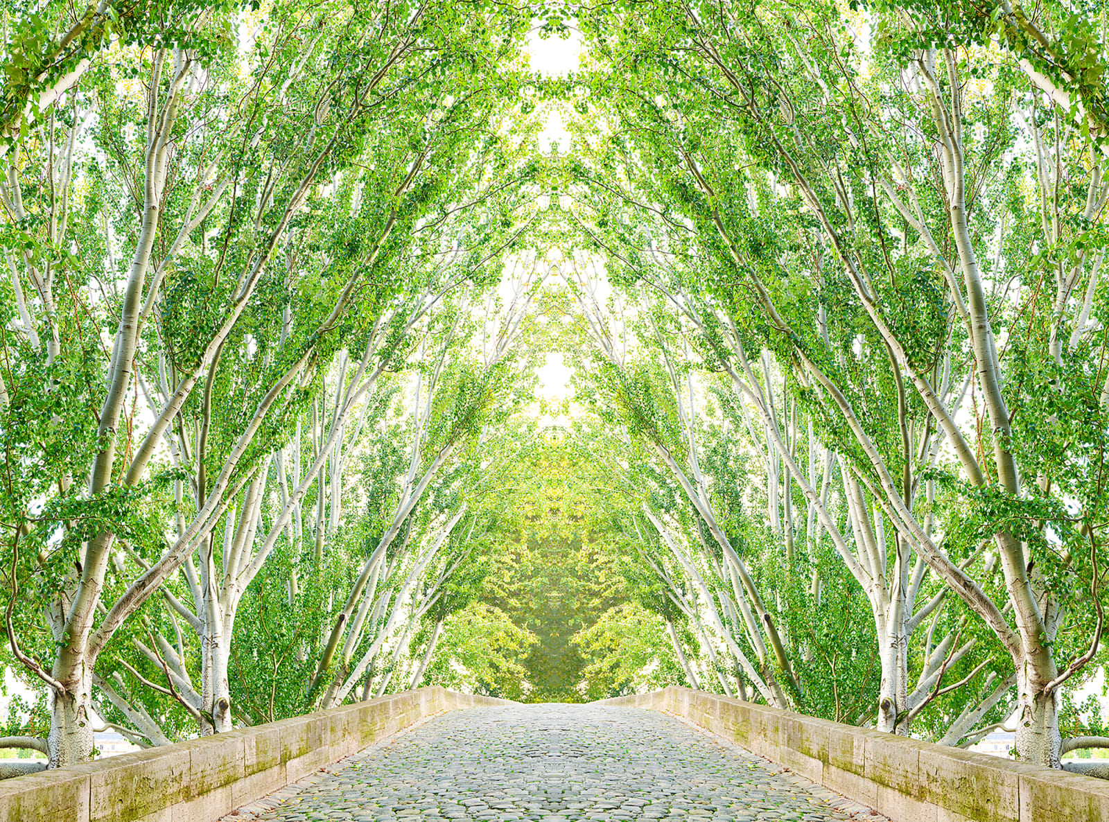 Paris cobblestone bridge and green trees photograph by Laurie Victor Kay