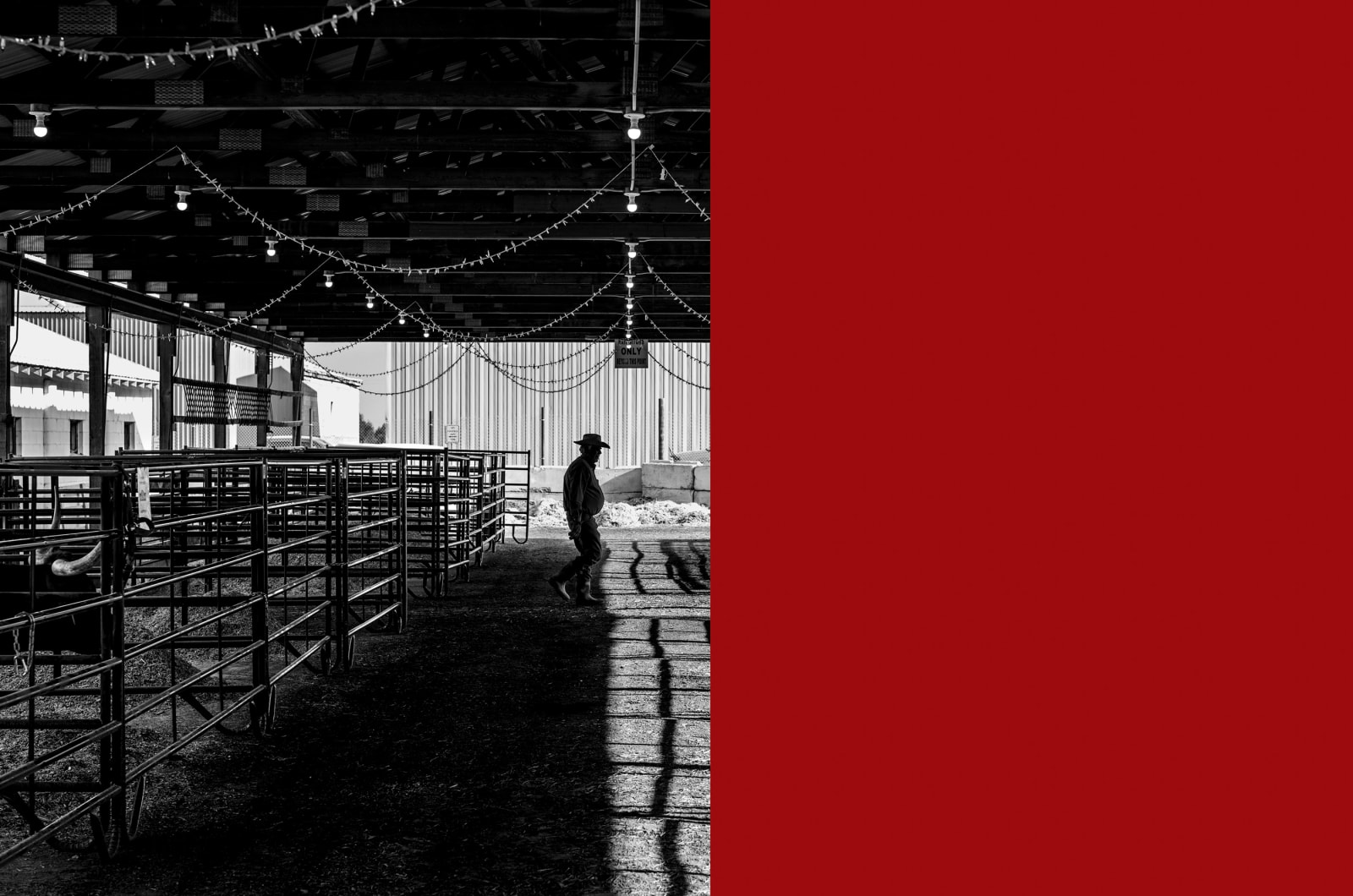 Wirth photograph cowboy red color block