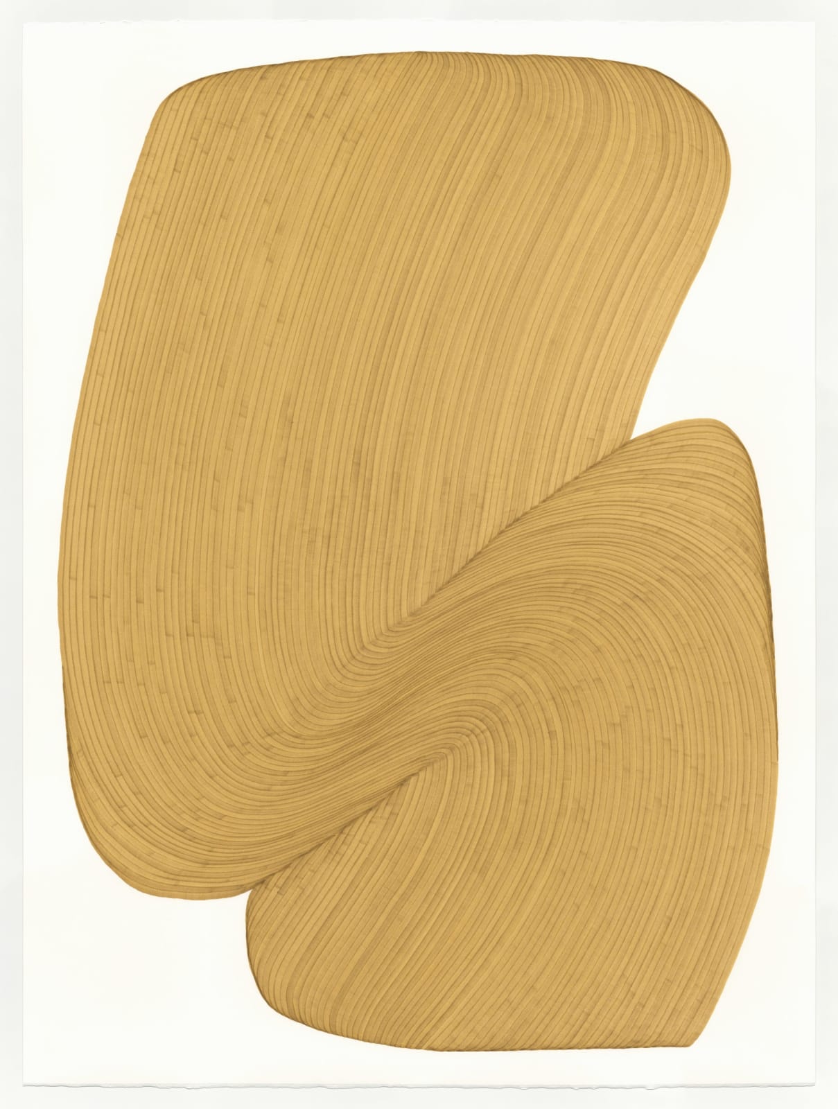 dana piazza pigmented ink lines work on paper purchase at gilman contemporary