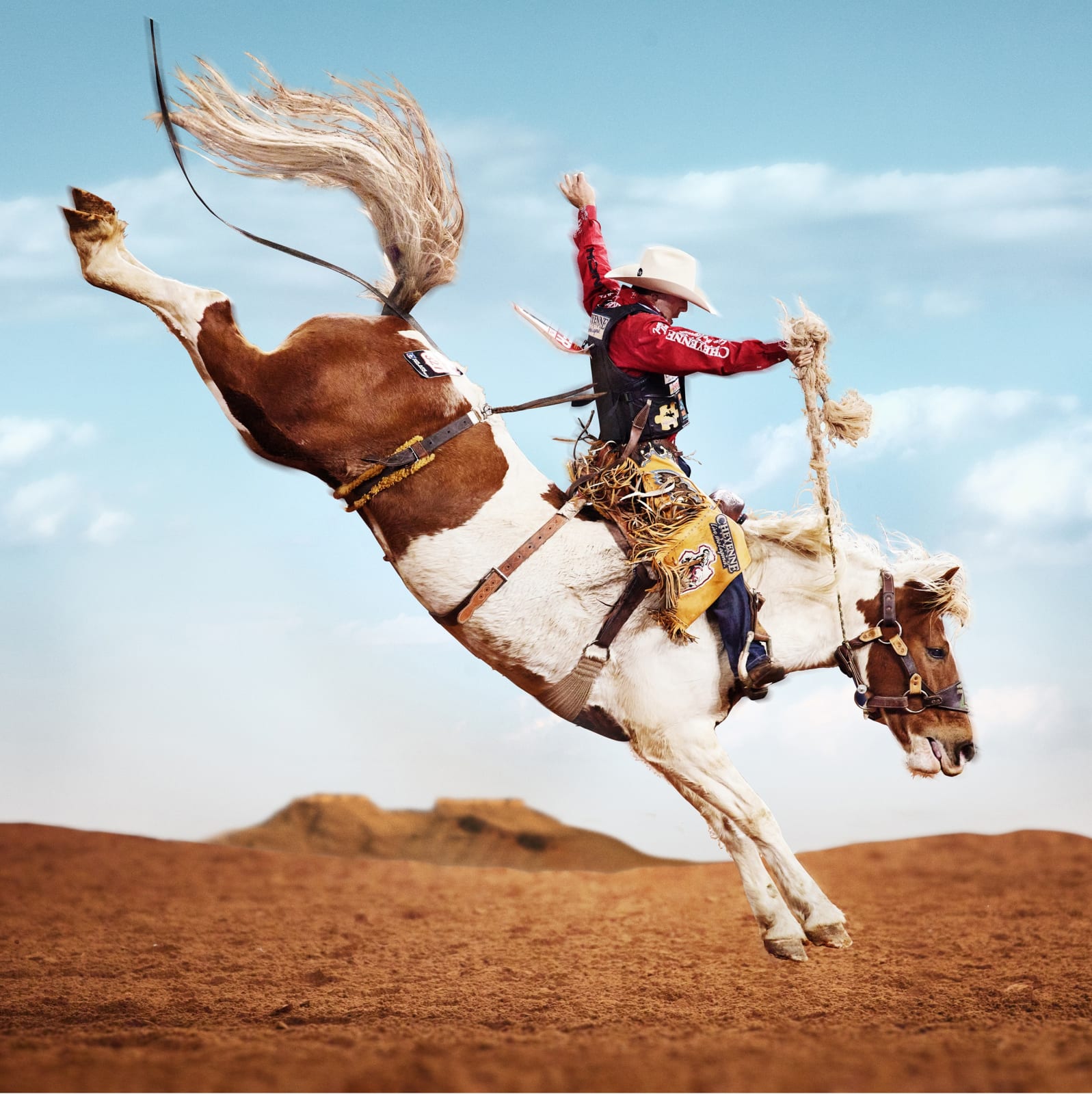 Cheyenne color photograph Wrubel