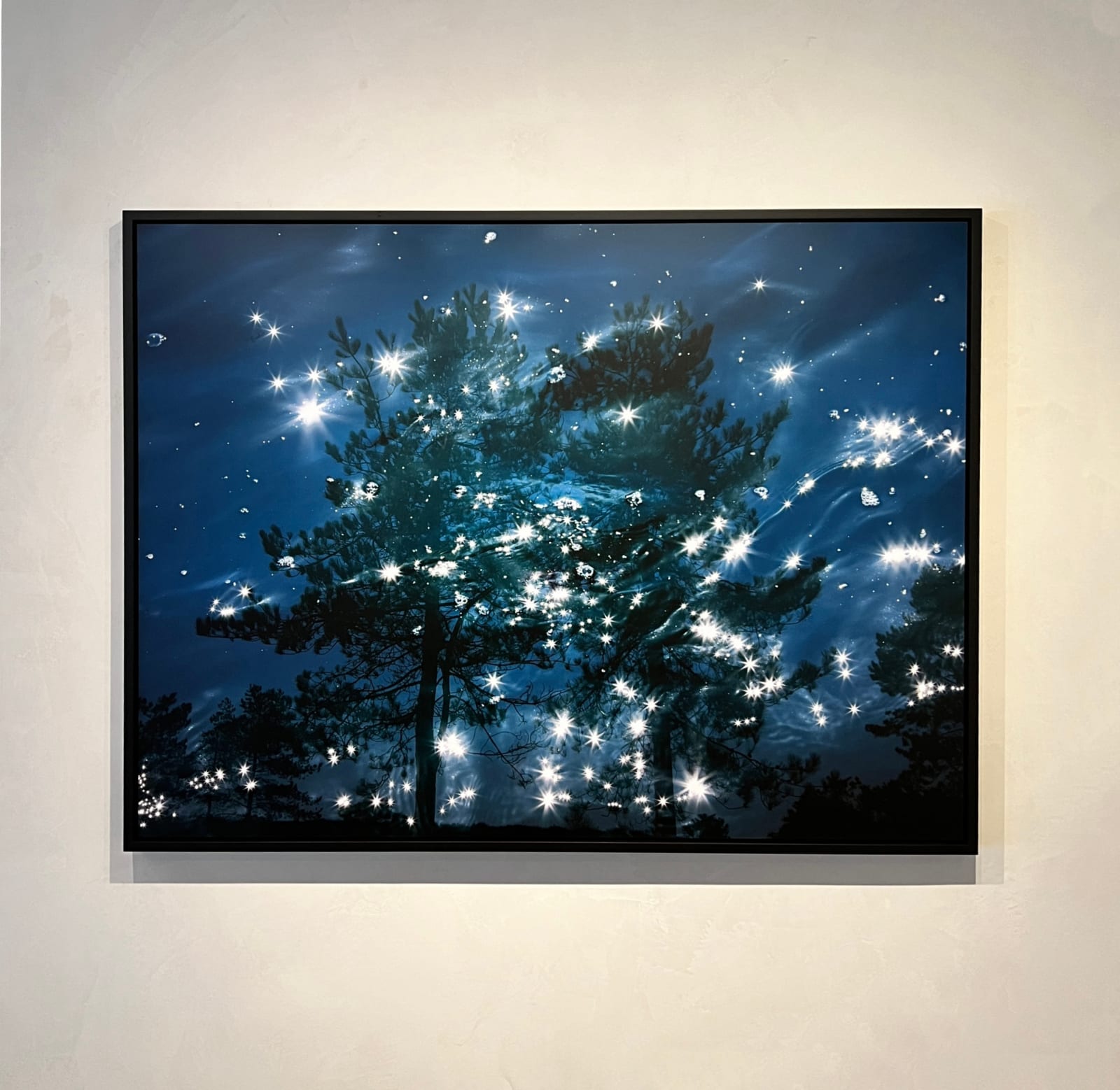 Seascapes Triptych: Scots Pine buy here Gilman Contemporary Sun Valley art gallery