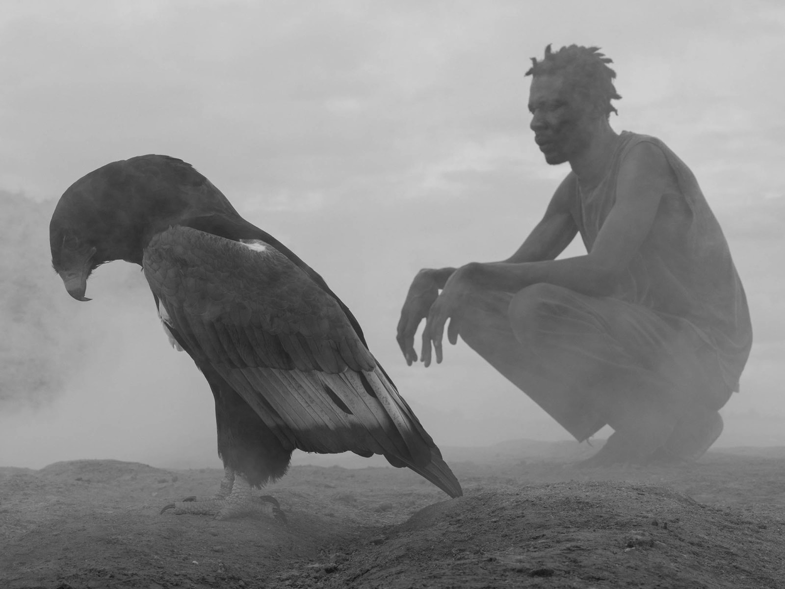 purchase Nick Brandt photographs The Day May Break Chapter 1 Zimbabwe Sun Valley art gallery Gilman Contemporary