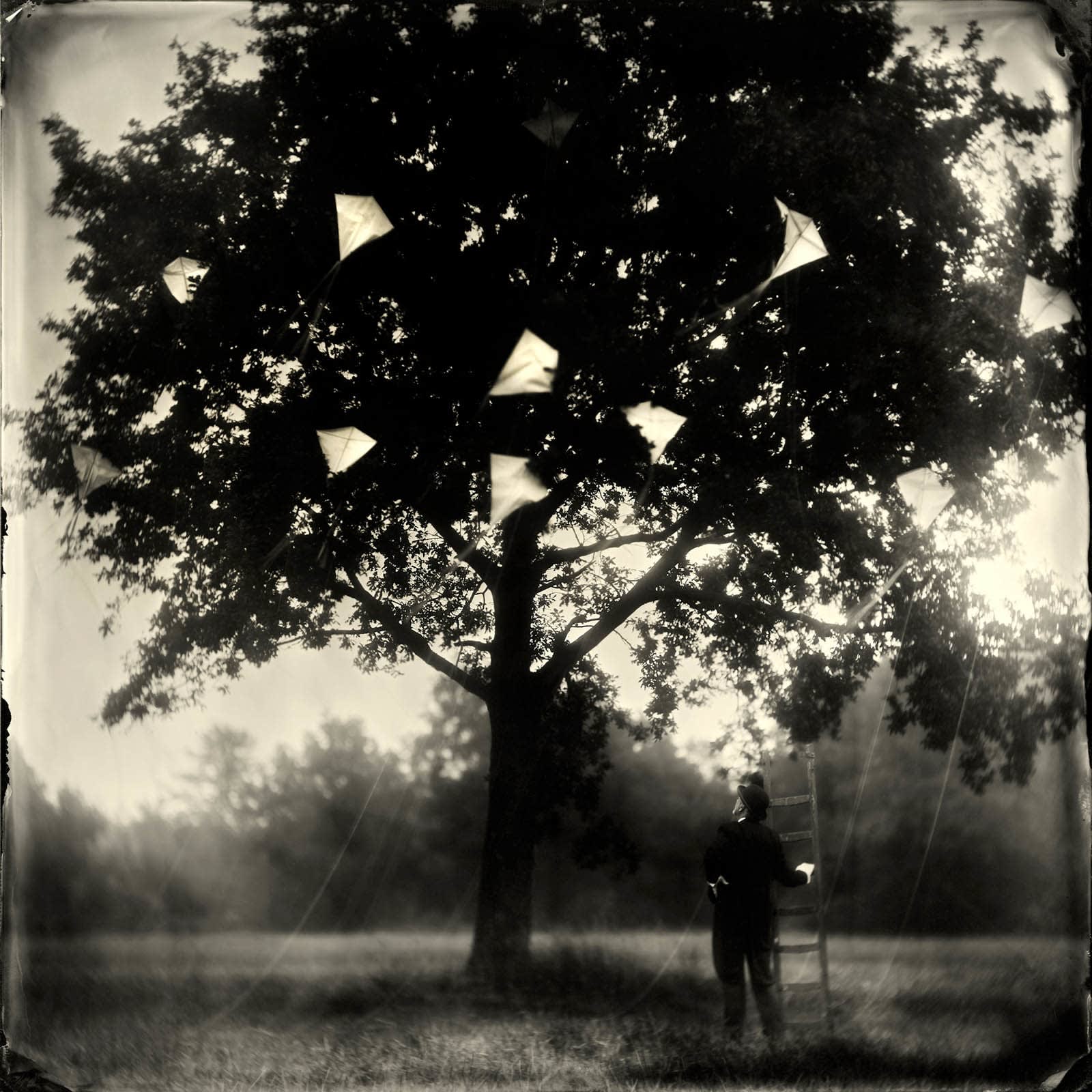 Kite Runner photograph Alex Timmermans collodion wet plate prints buy here Sun Valley art gallery Gilman Contemporary