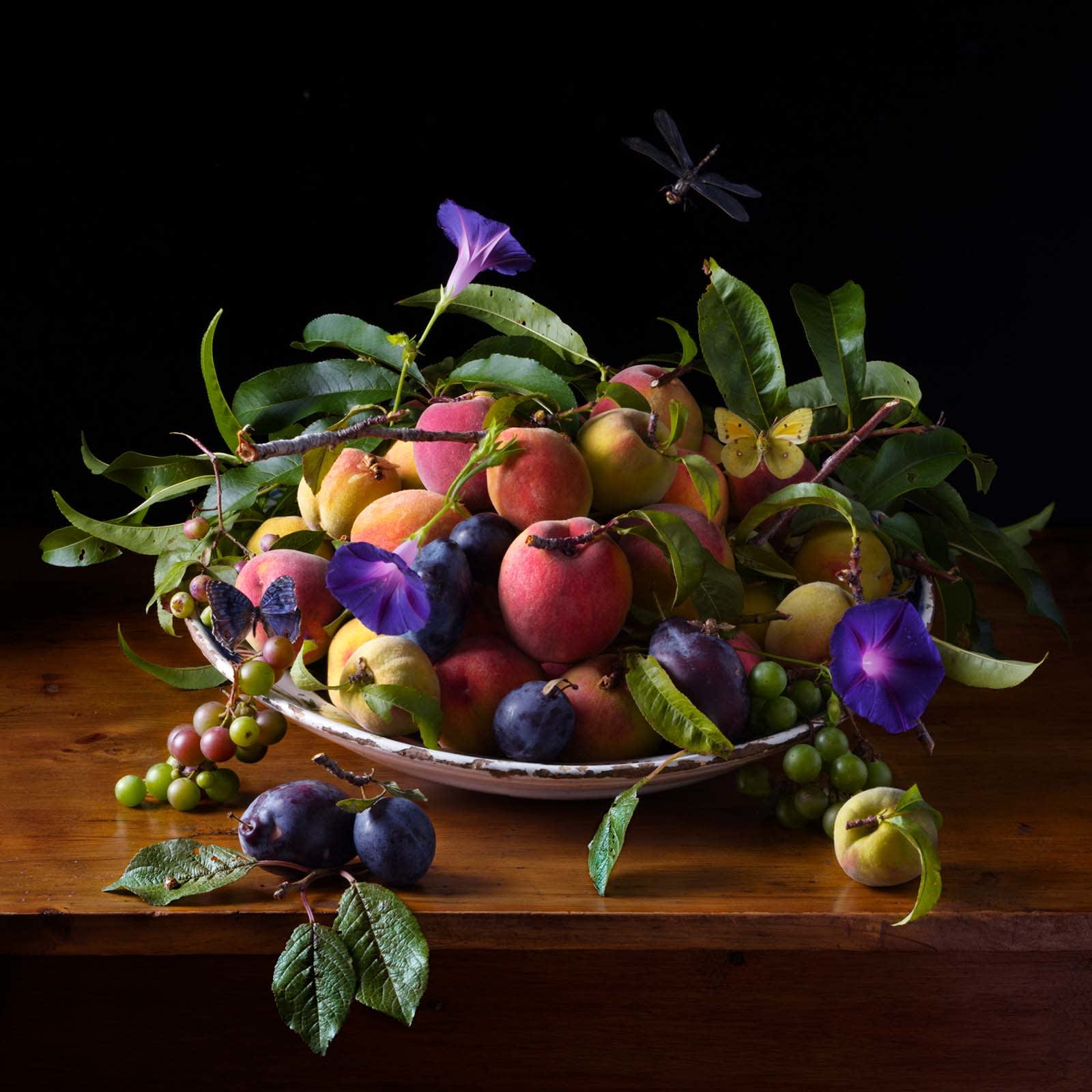 Paulette Tavormina still life photography buy orchard plums and morning glories Gilman Contemporary Sun Valley art gallery Idaho