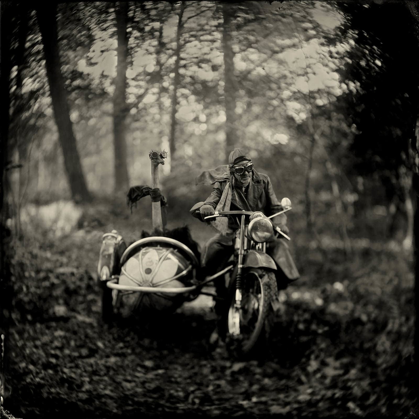 Alex Timmermans photography buy here Gilman Contemporary Sun Valley art gallery