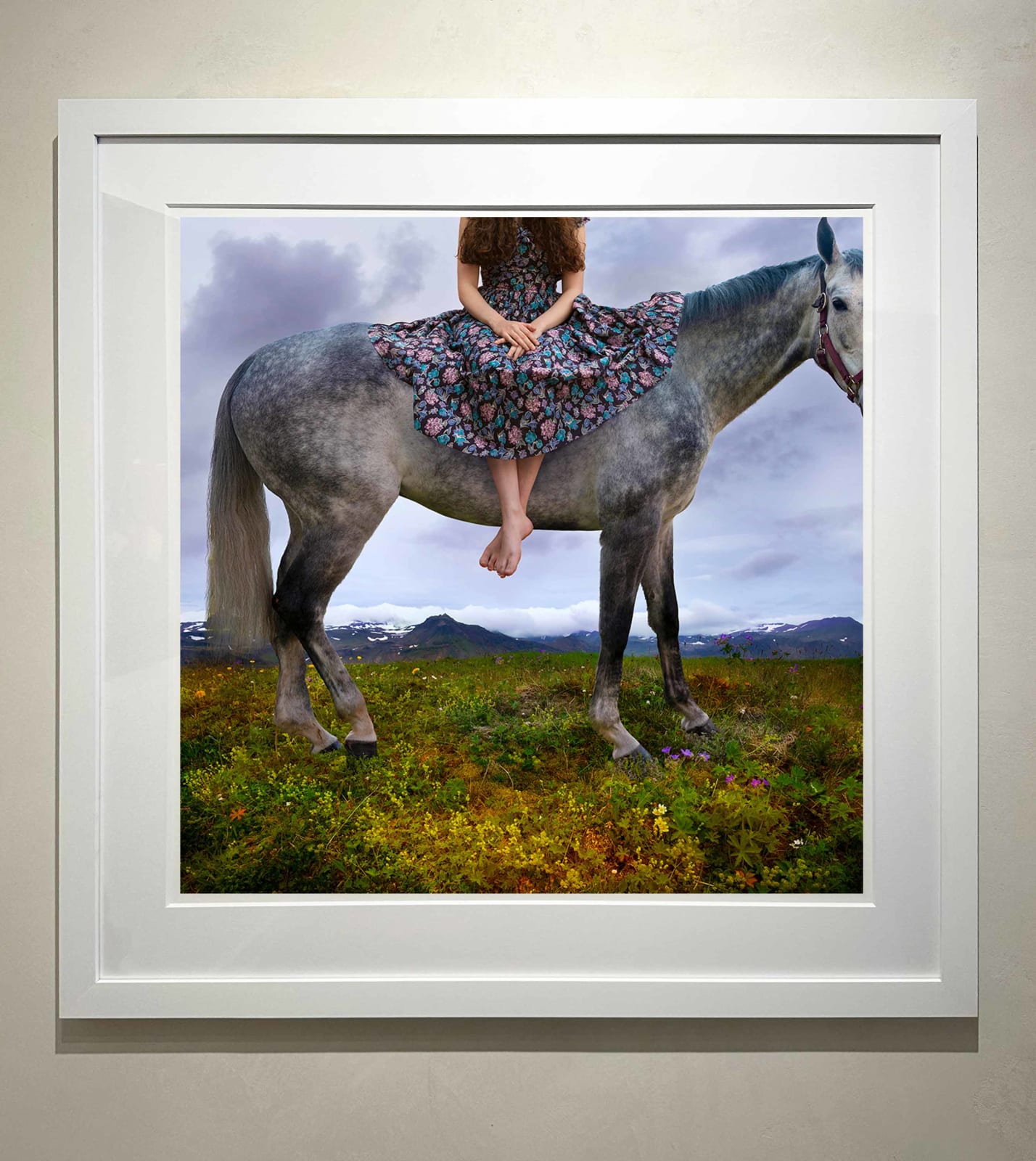 Tom Chambers photography buy here Sun Valley art gallery