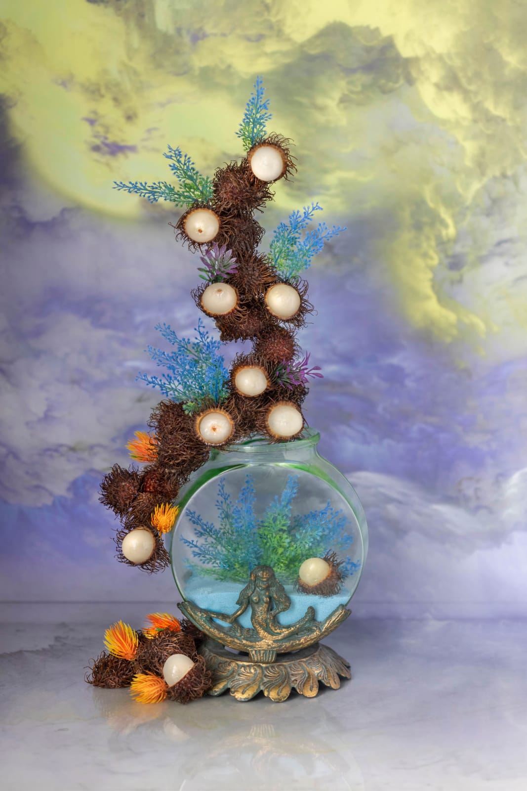 seaweed and spring onions atop fish tank photo