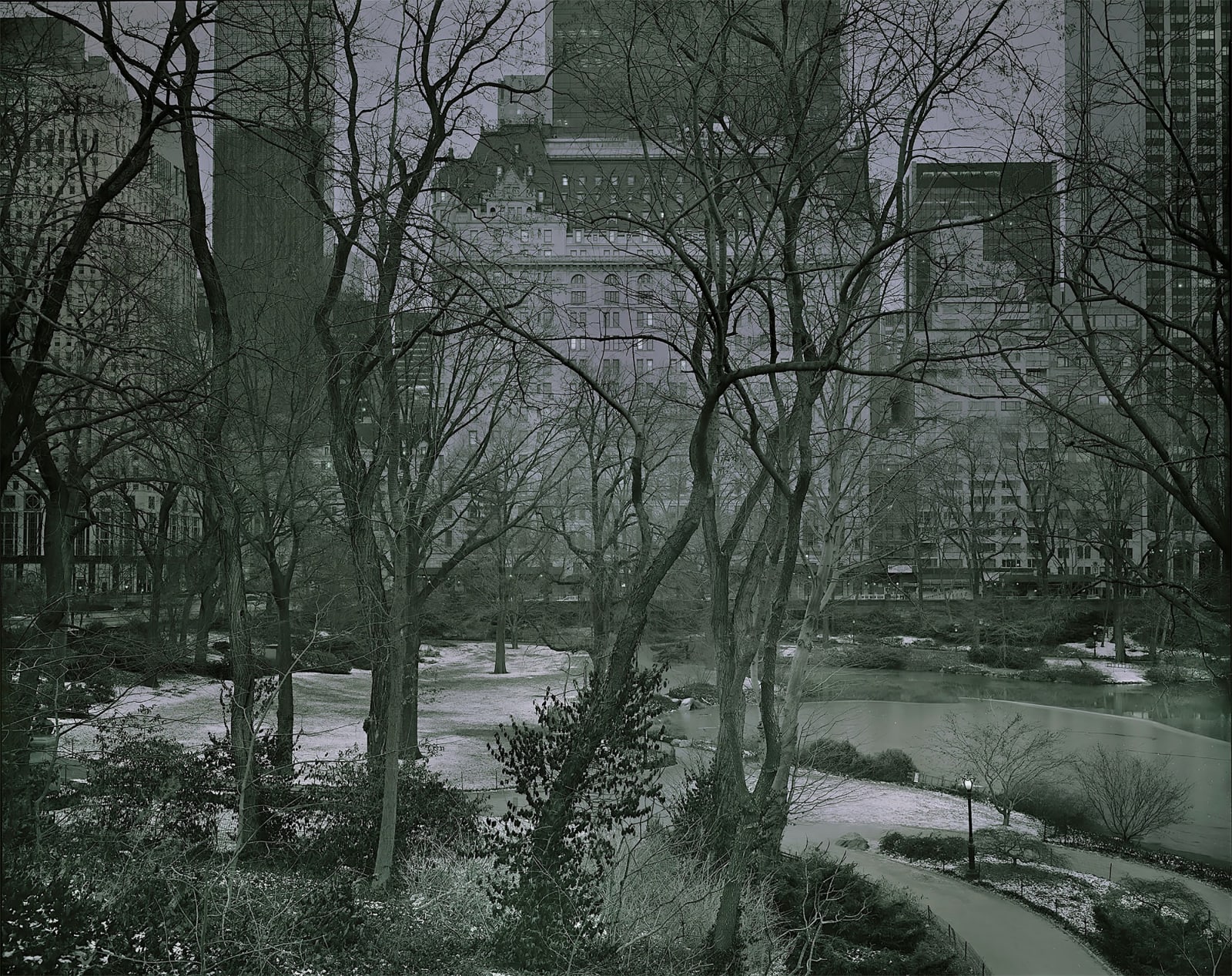 michael massaia toned photo of central park pre dawn
