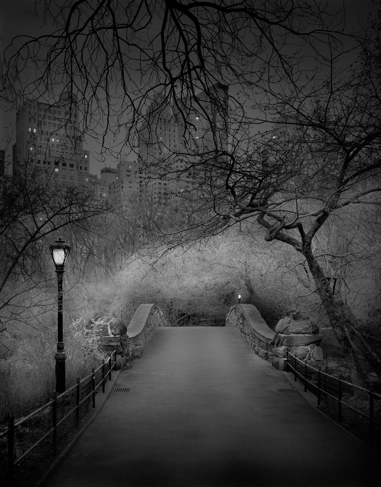 Michael Massaia central park images Gapstow bridge purchase gilman contemporary