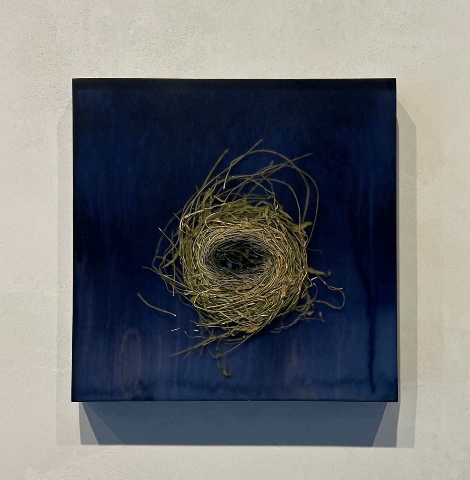 mayme kratz Knot spurge and grasses nest in resin