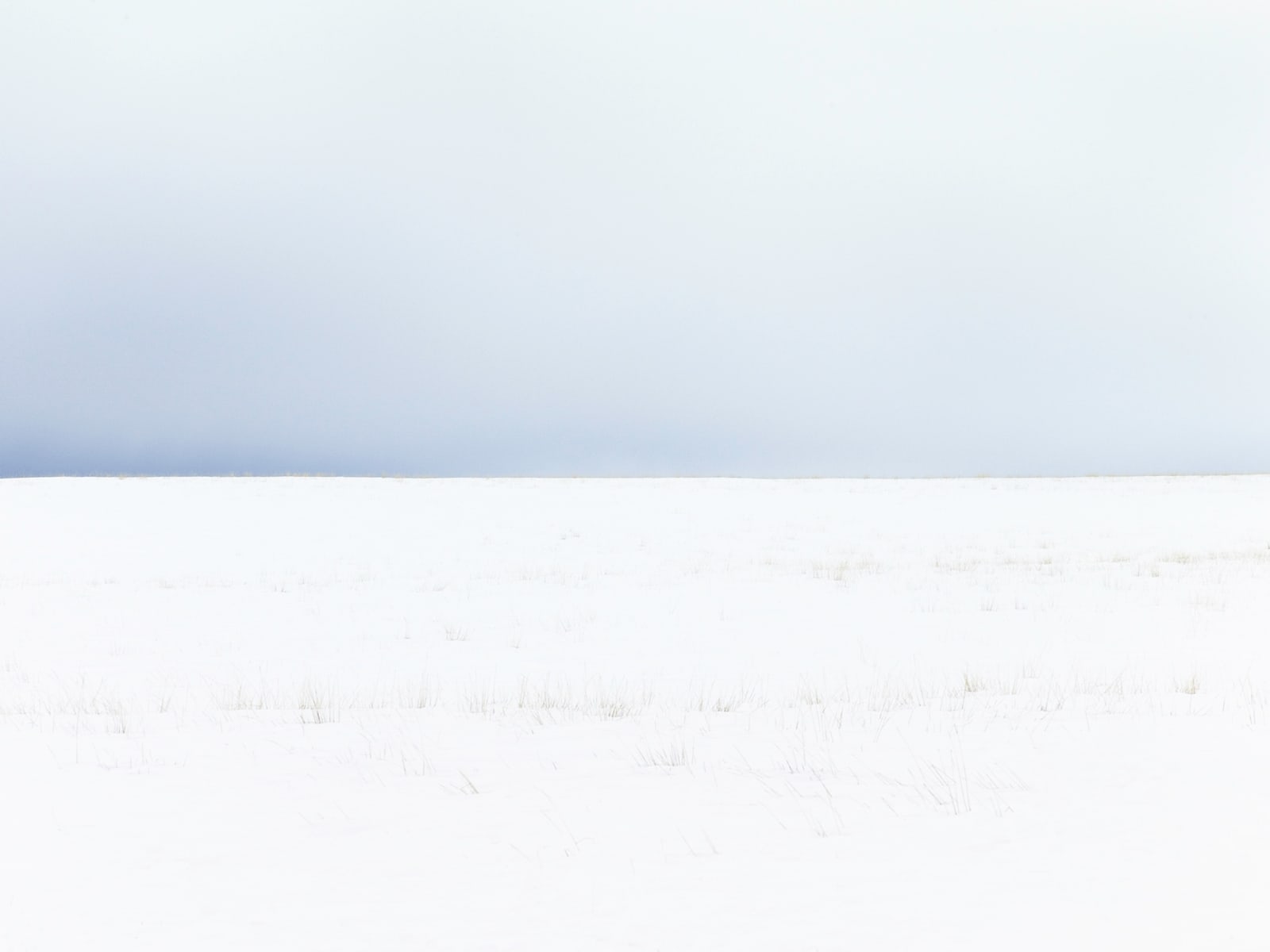 Fairfield Idaho photograph snow field Wirth