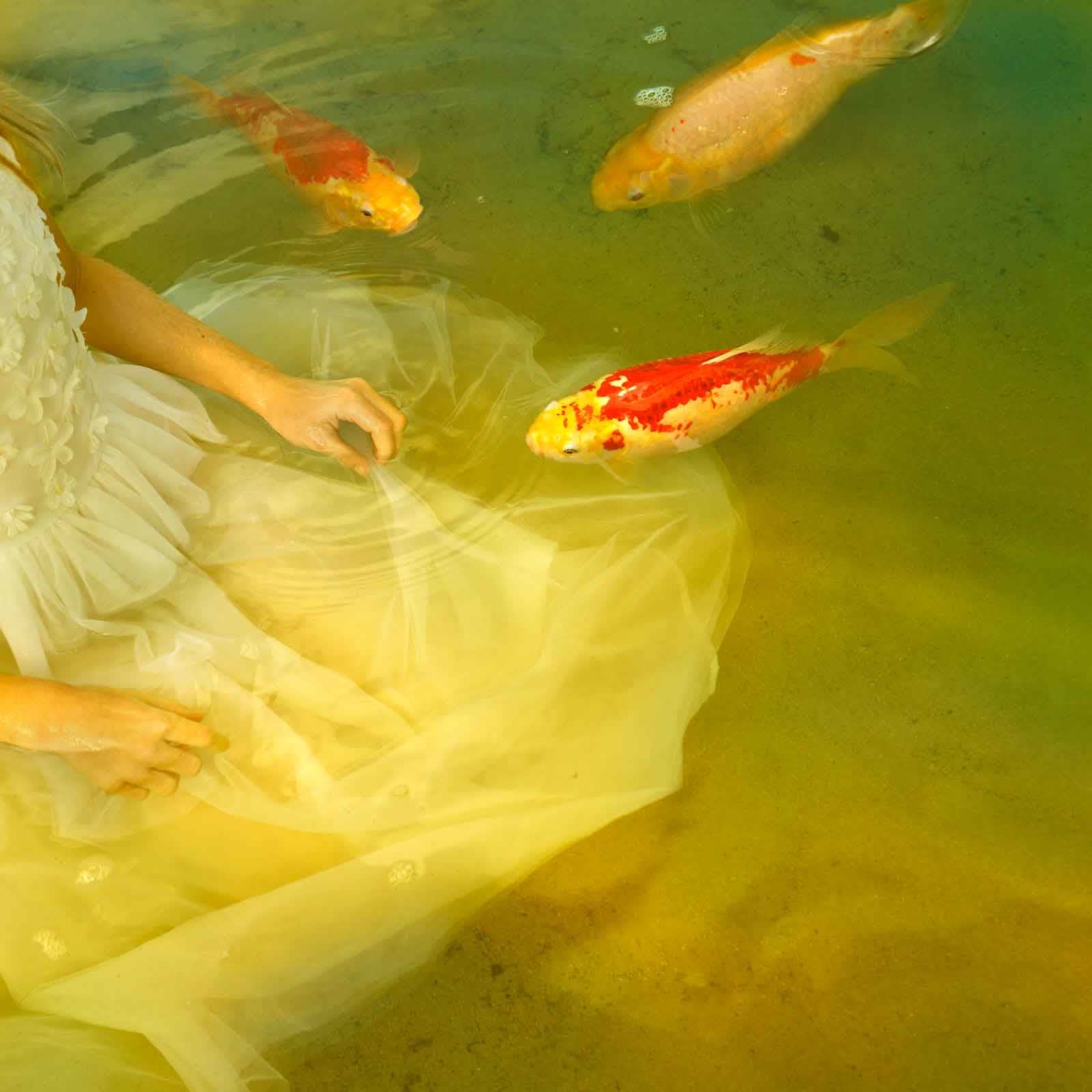 Tom Chambers photography girl with koi fish buy here Gilman Contemporary Sun Valley art gallery ID