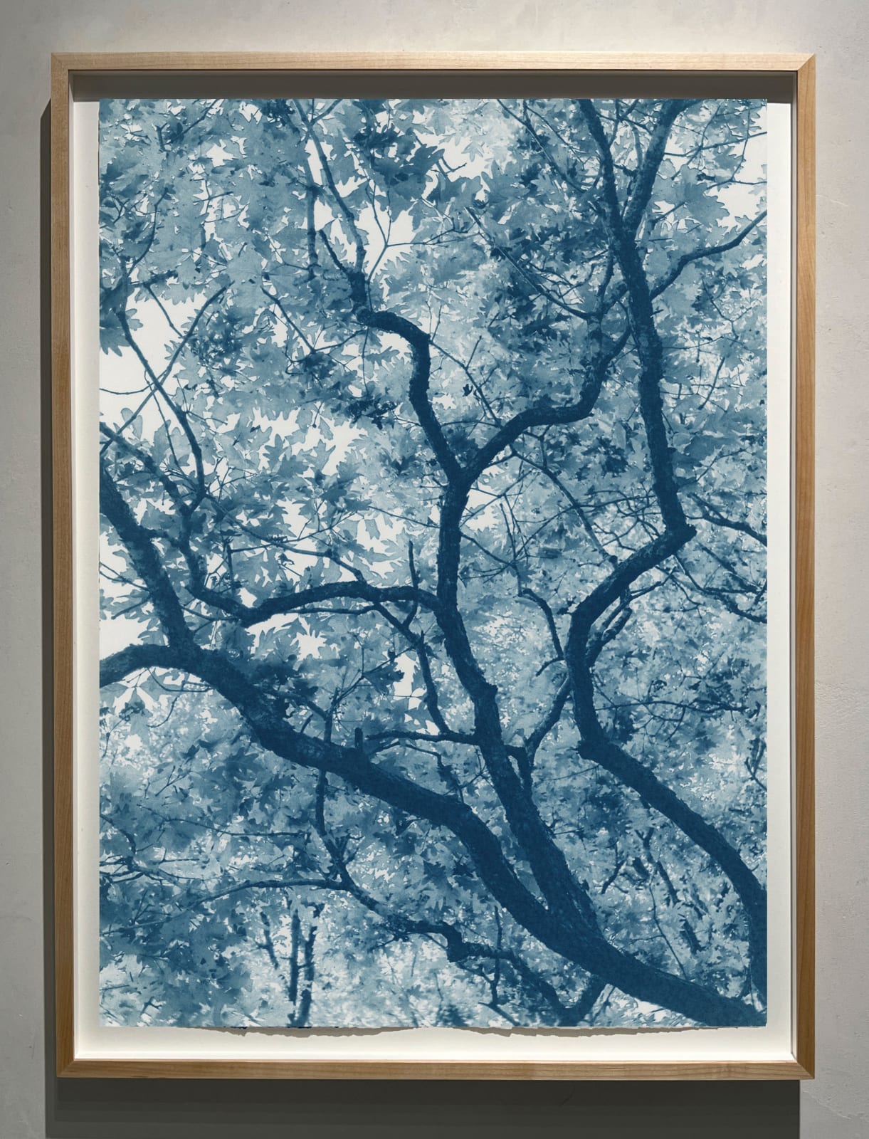 Modern Cyanotype, Dora Somosi, NY artist, Gilman Contemporary