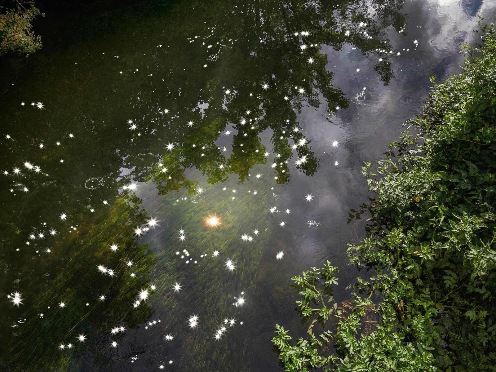 Ellie Davies UK photographer buy here Gilman Contemporary Sun Valley art gallery ID