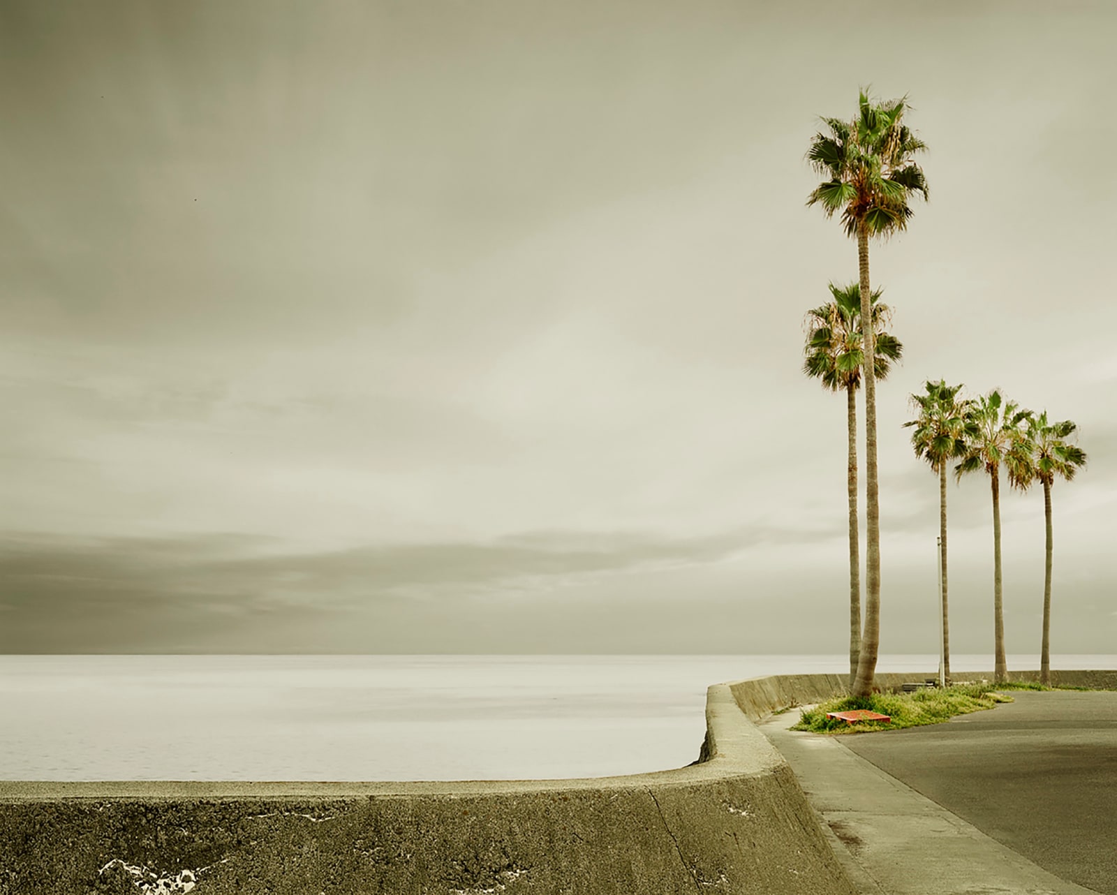 David Burdeny, Five Palms, Nomozaki, Japan