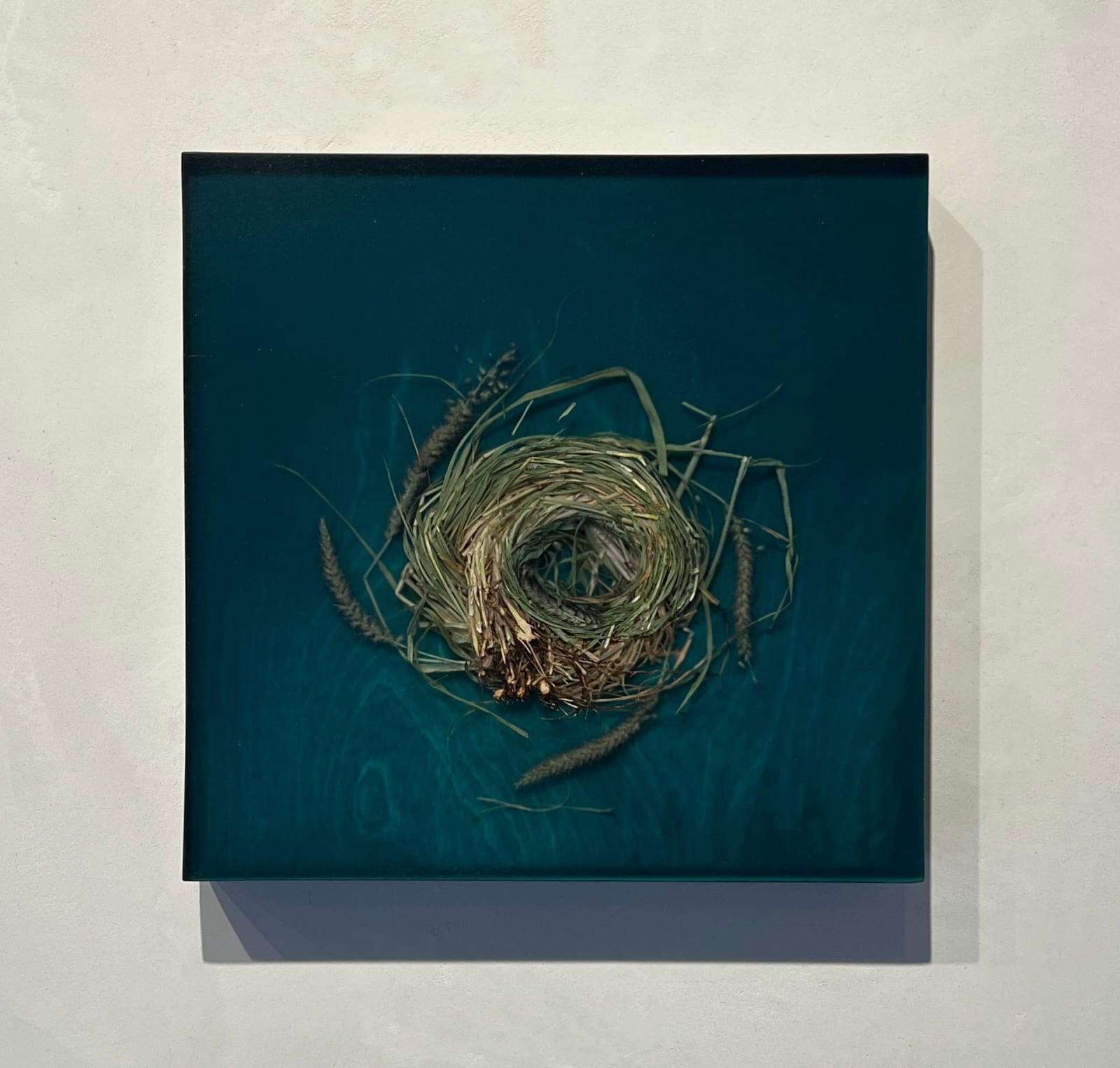 Mayme Kratz green resin and spurge on panel nest at gilman contemporary sun valley