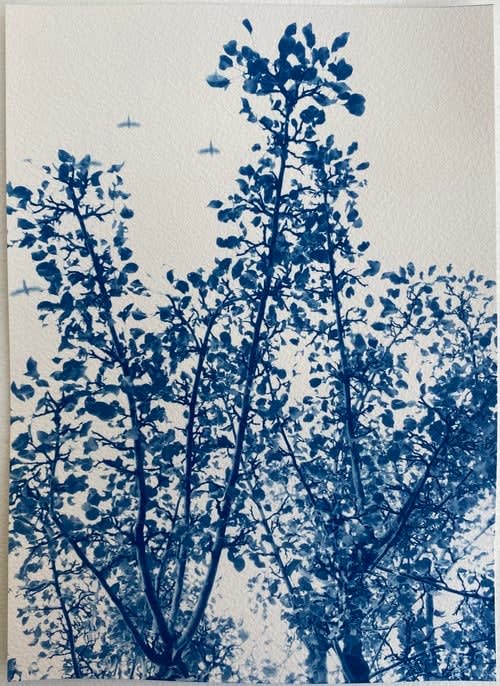 Dora Somosi, Agnes Martin