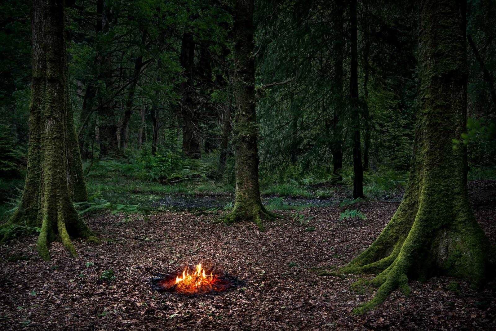 Ellie Davies photographs environmental art buy here Gilman gallery Sun Valley contemporary art Idaho