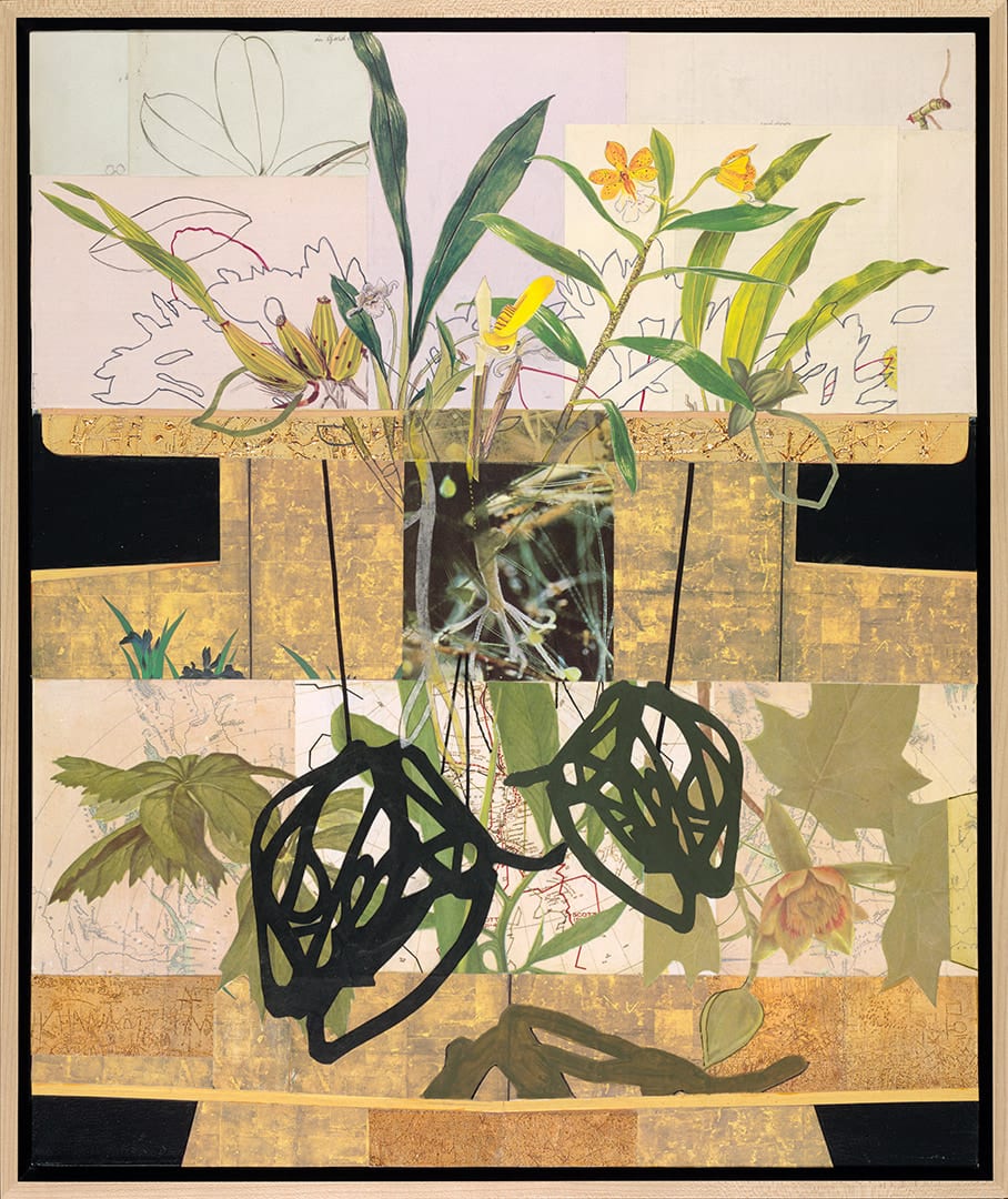Frances McCormack botanical collage with yellow flowers available at Gilman Contemporary