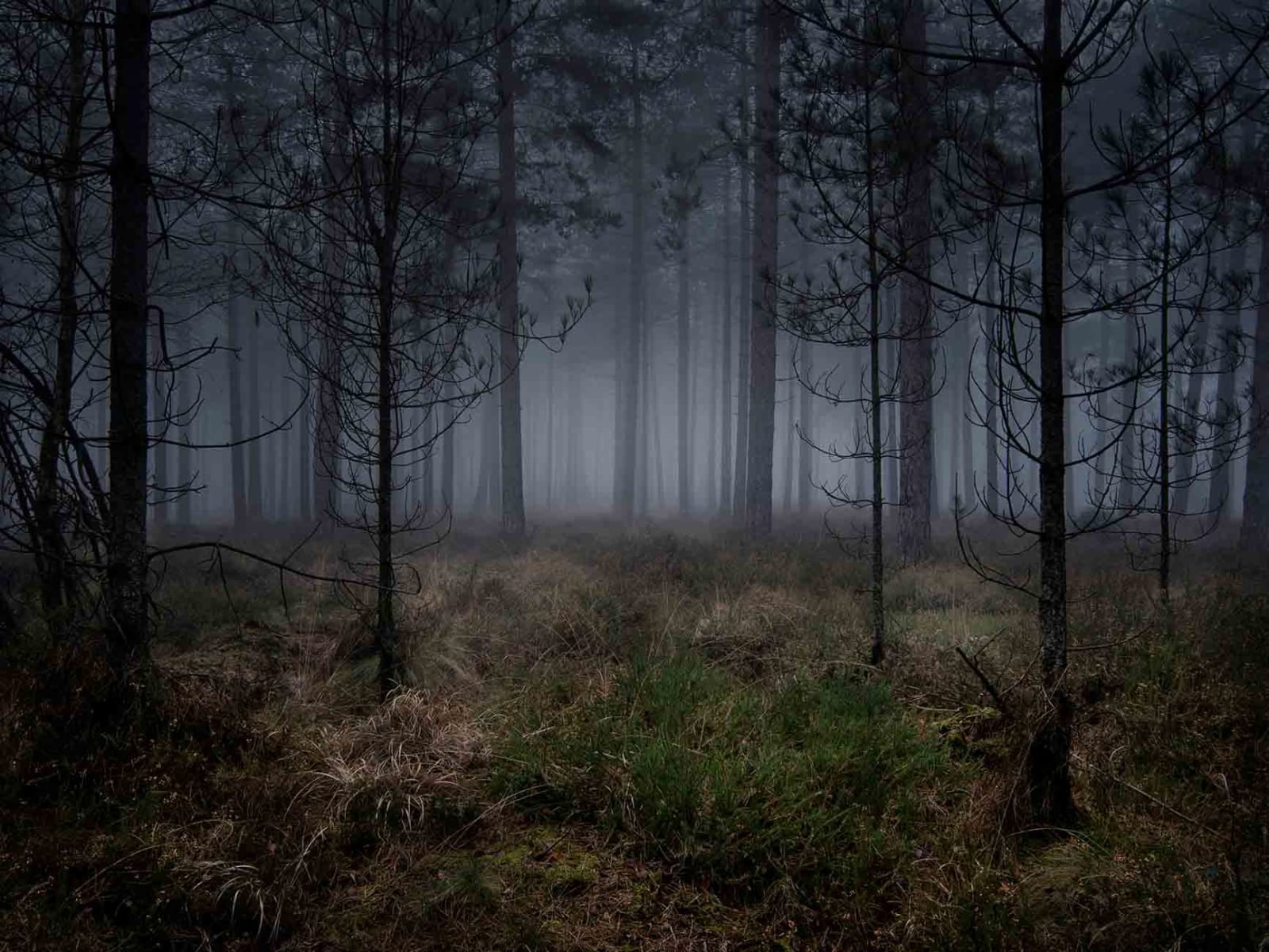 UK photographer Ellie Davies photography English countryside original prints buy here Sun Valley Contemporary art Gilman gallery