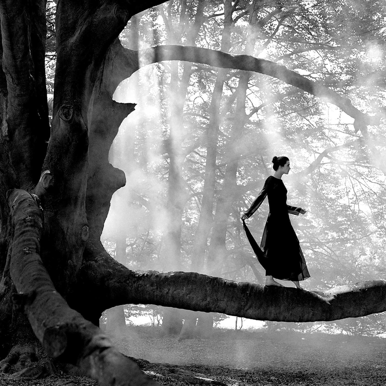 Rodney Smith photography Gilman Contemporary Sun Valley art gallery woman standing on tree limb