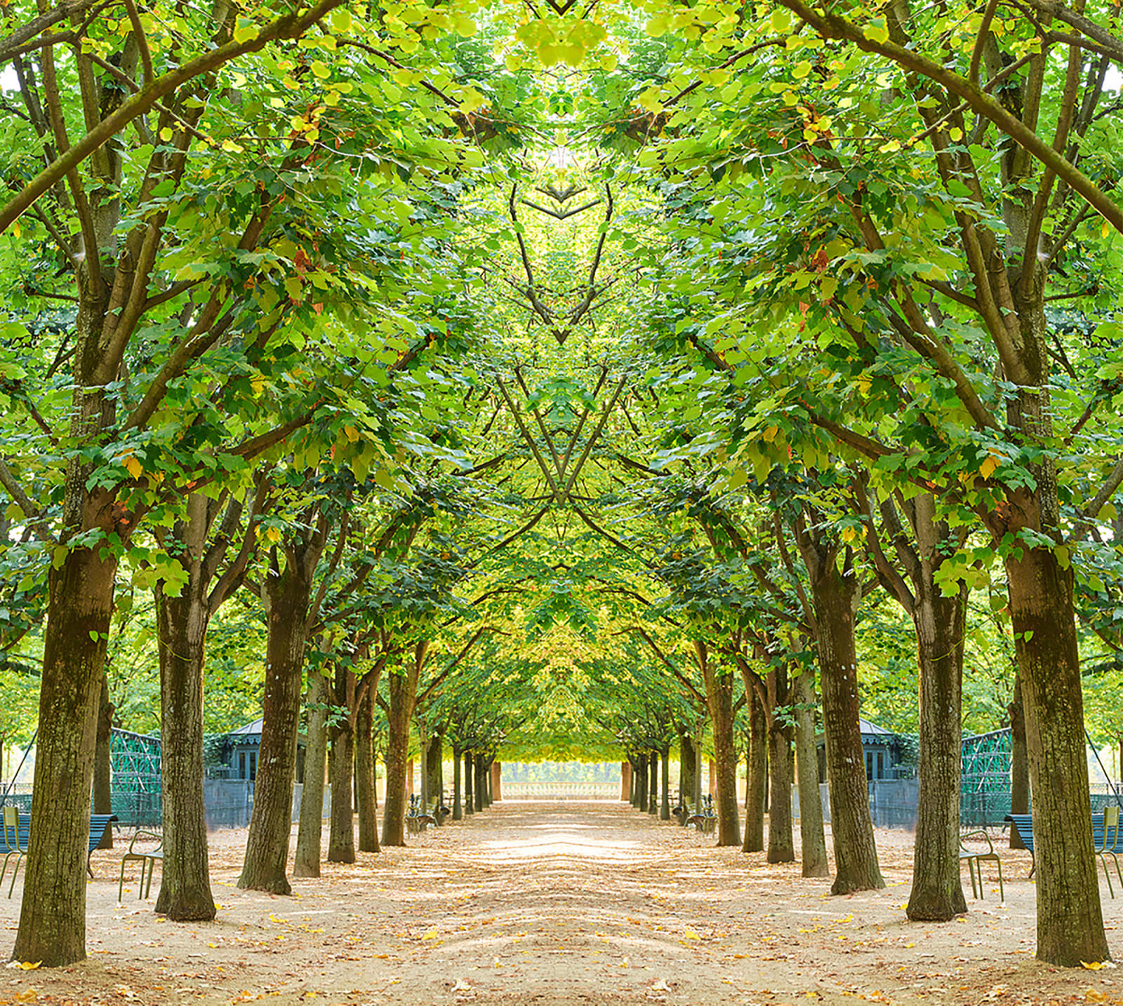 Laurie Victor Kay, Trees III Luxembourg