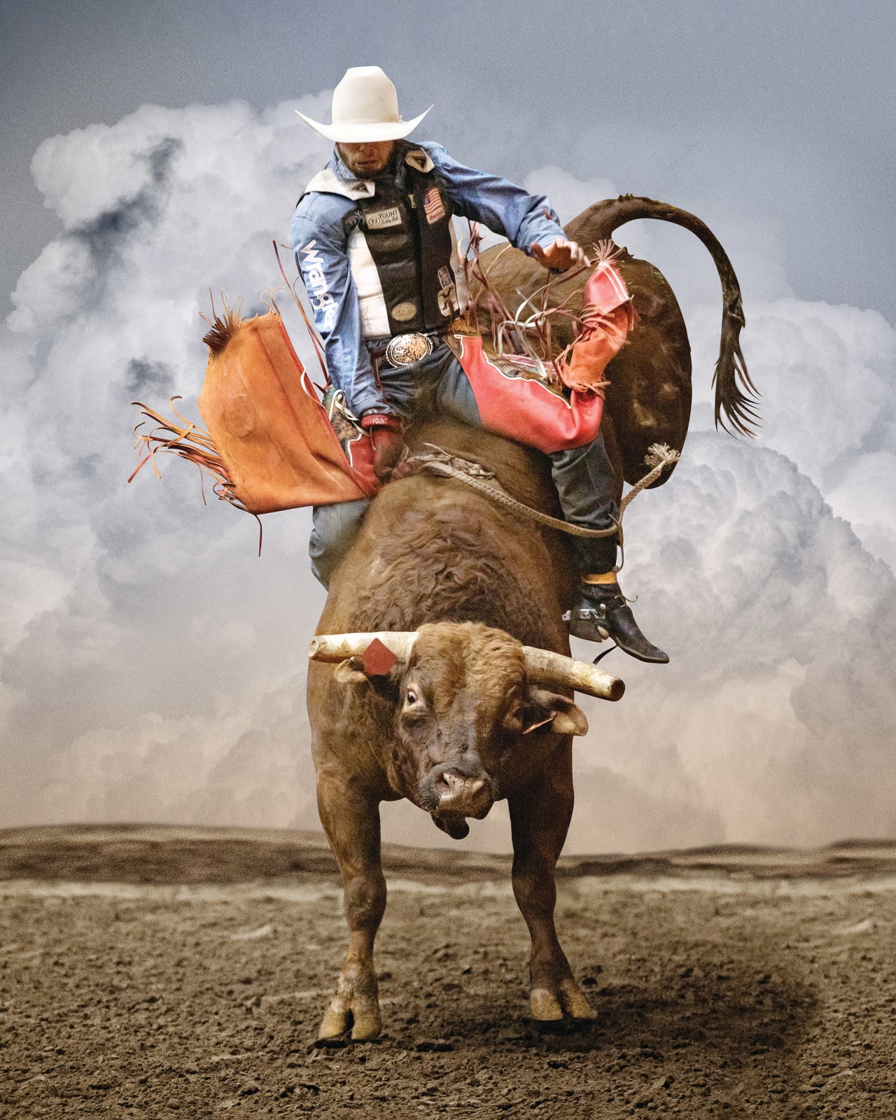 bullrider in art Steve Wrubel art